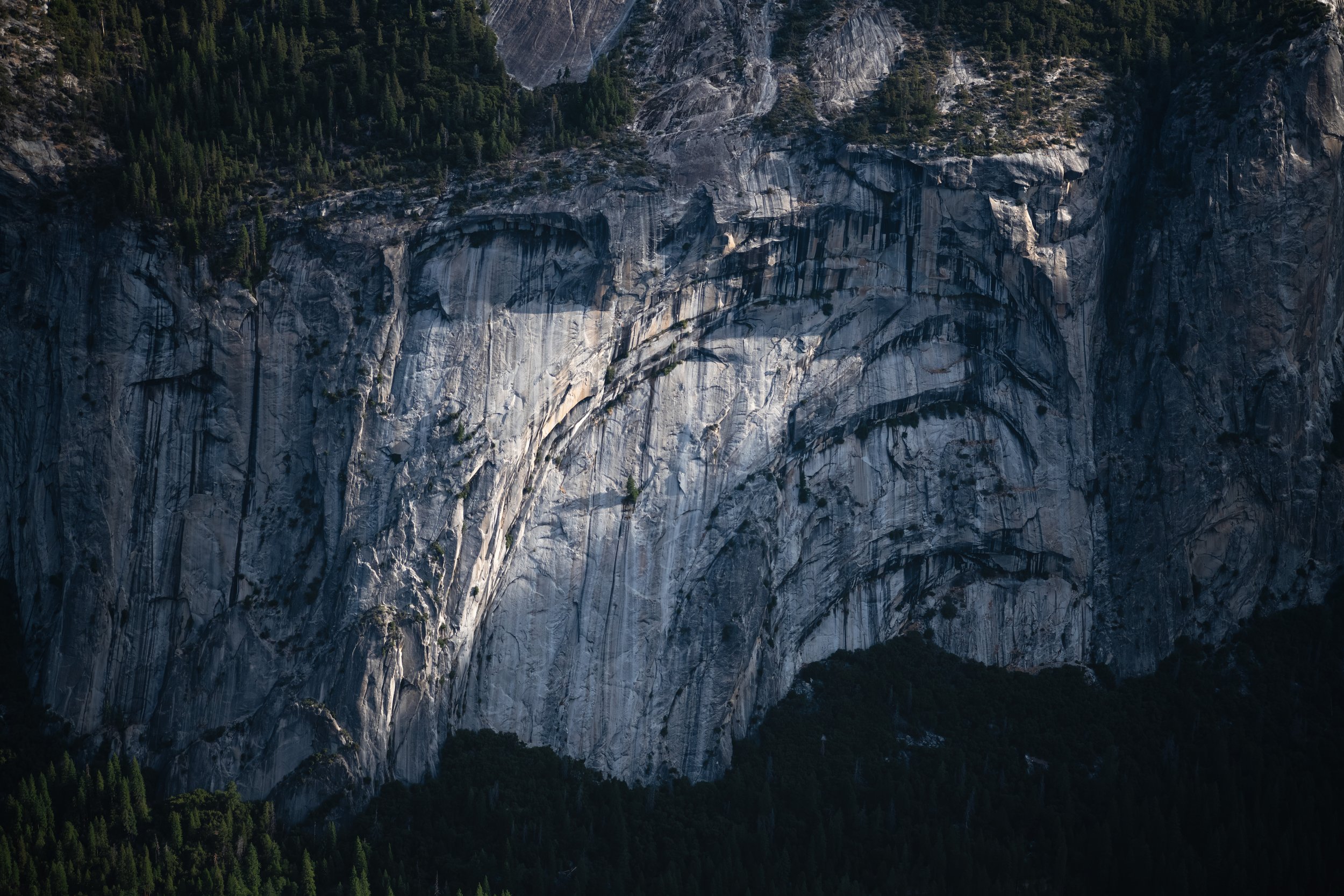 _DSC5473-Enhanced-NR - (EricACS_Pro edit, small) copy.jpg