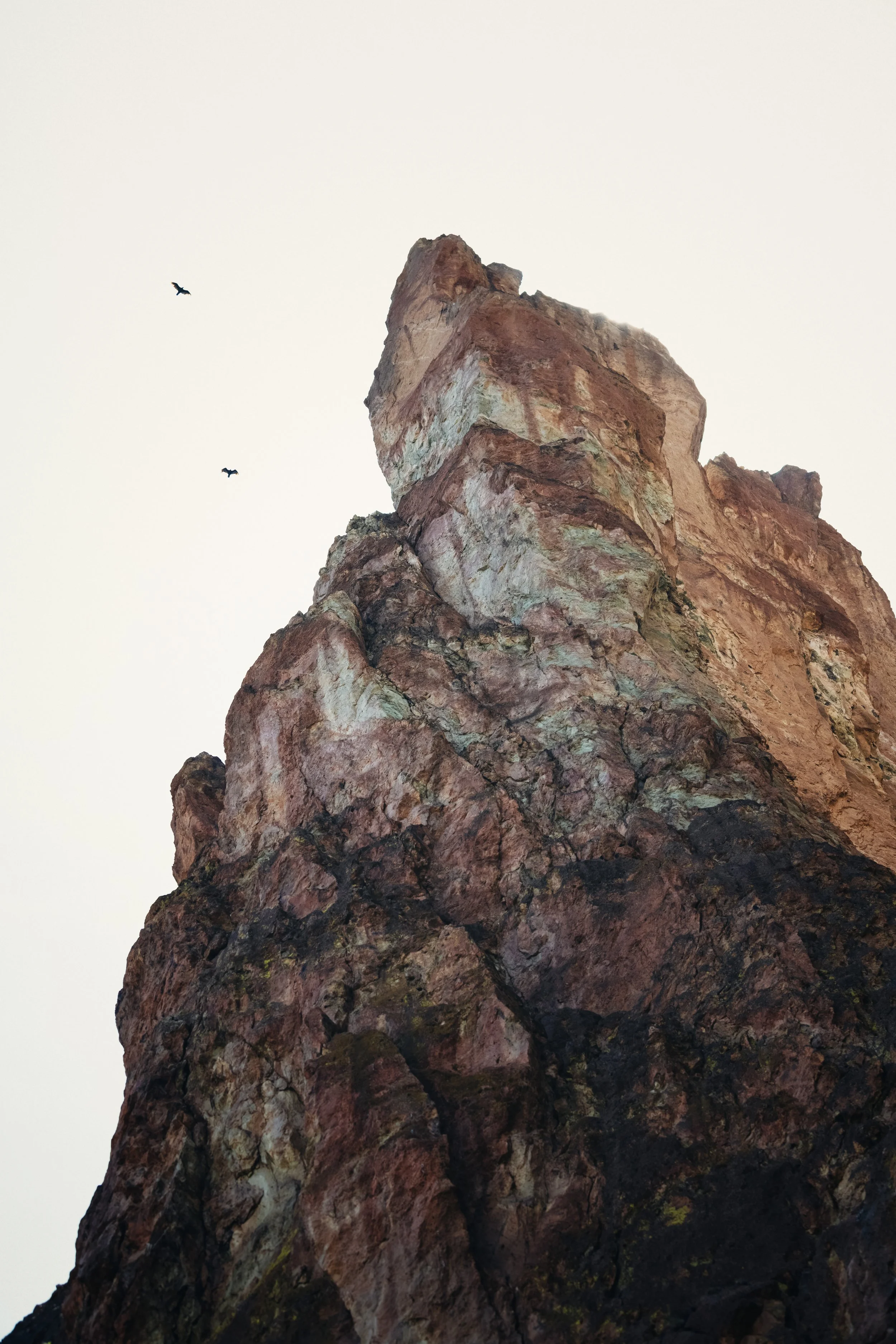 _DSC0802 - EricACS_Pro edit copy, small.jpg