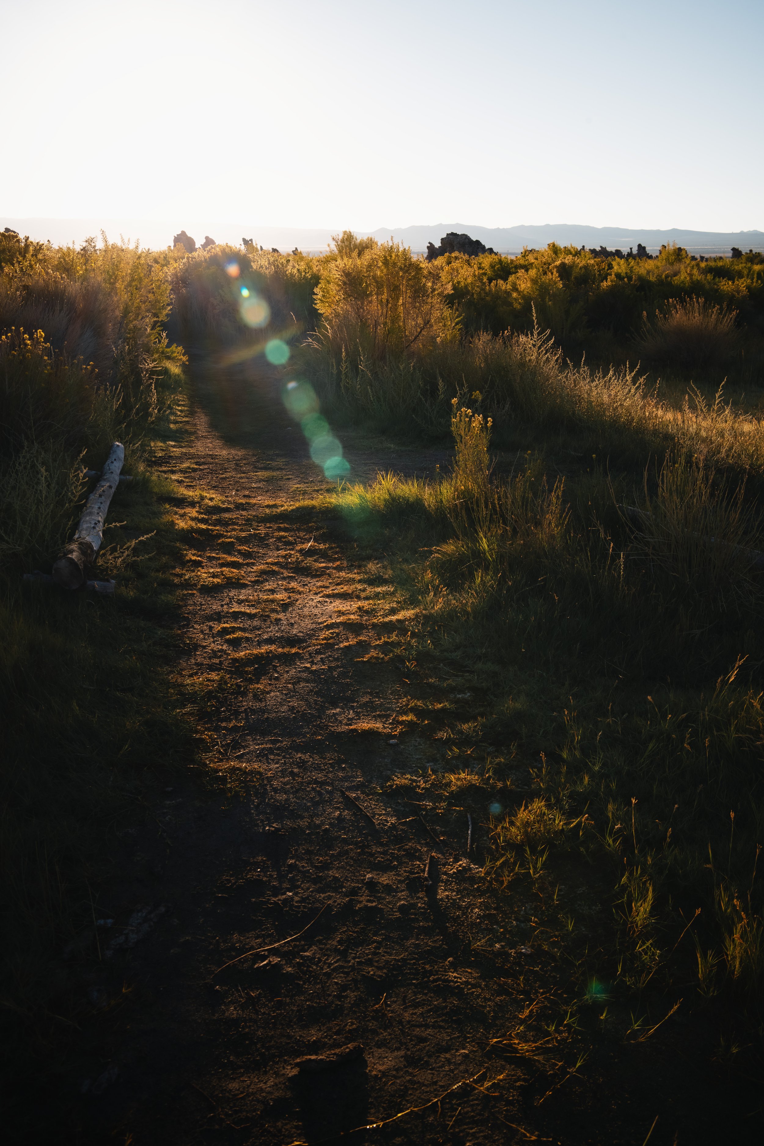 _DSC4661-Enhanced-NR - (EricACS_Pro edit, small) copy.jpg