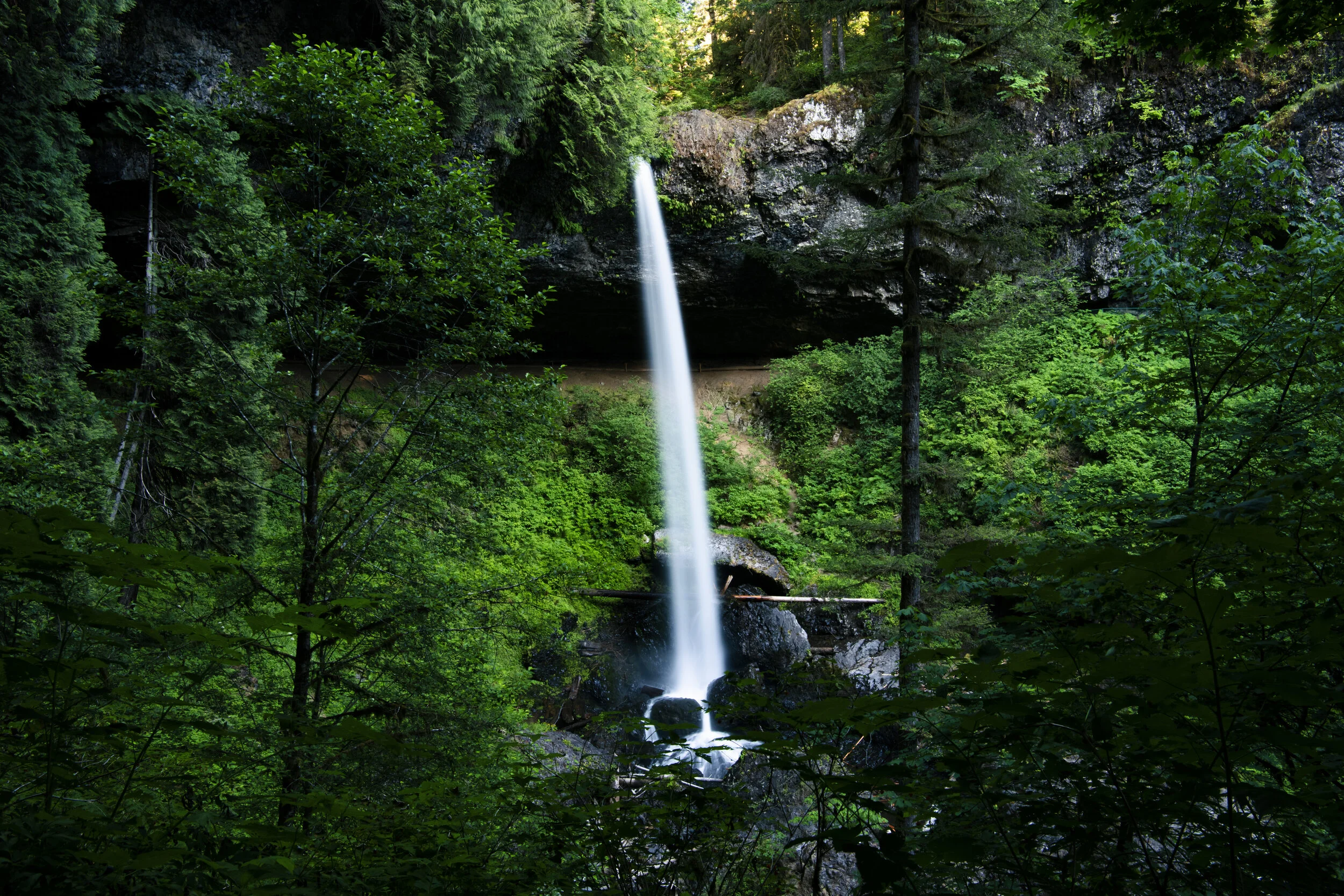 _DSC1989 - (EricACS_Pro edit) - (layer stack, small) copy.jpg