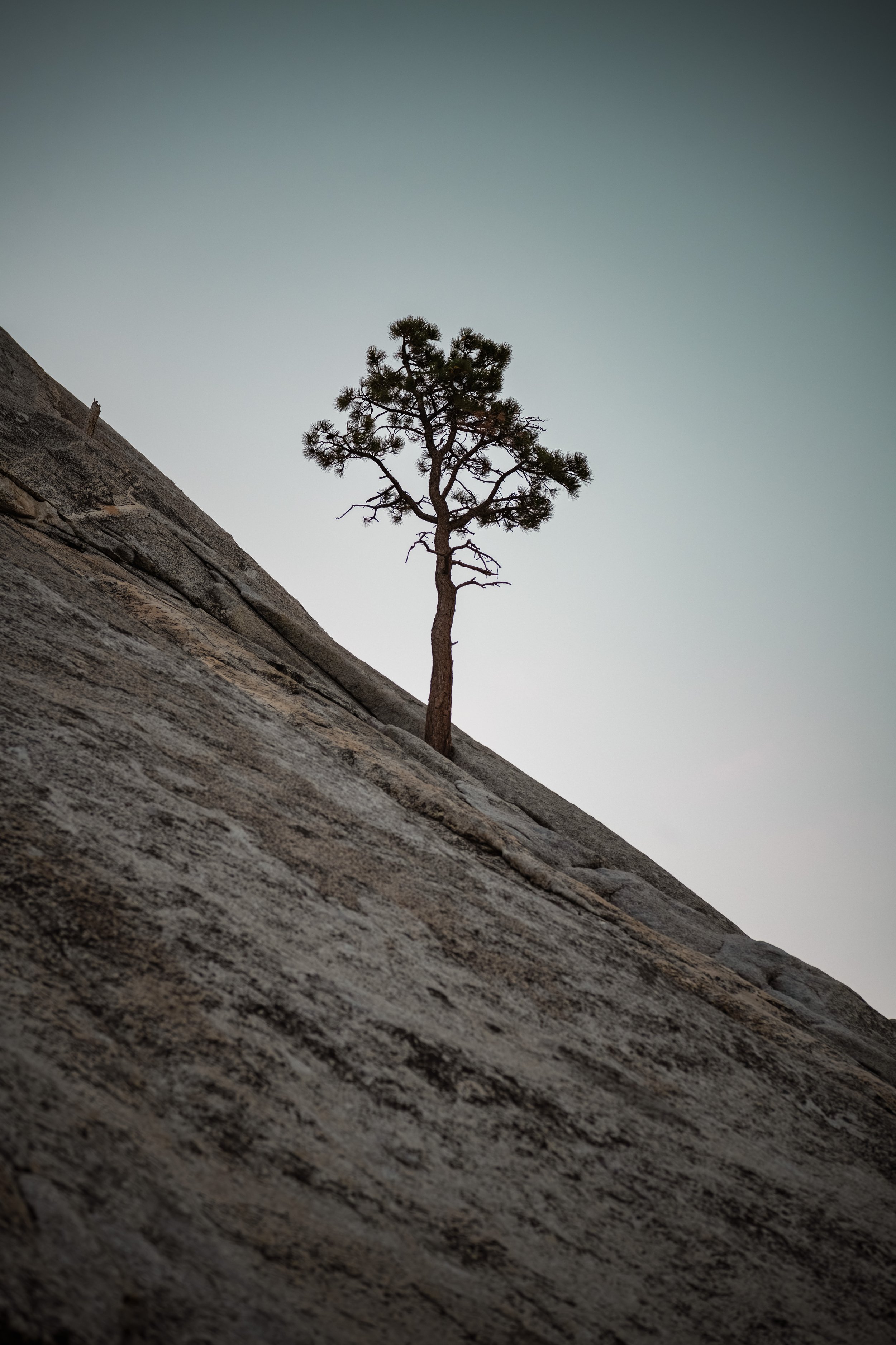 _DSC5682-Enhanced-NR - (EricACS_Pro edit, small) copy.jpg