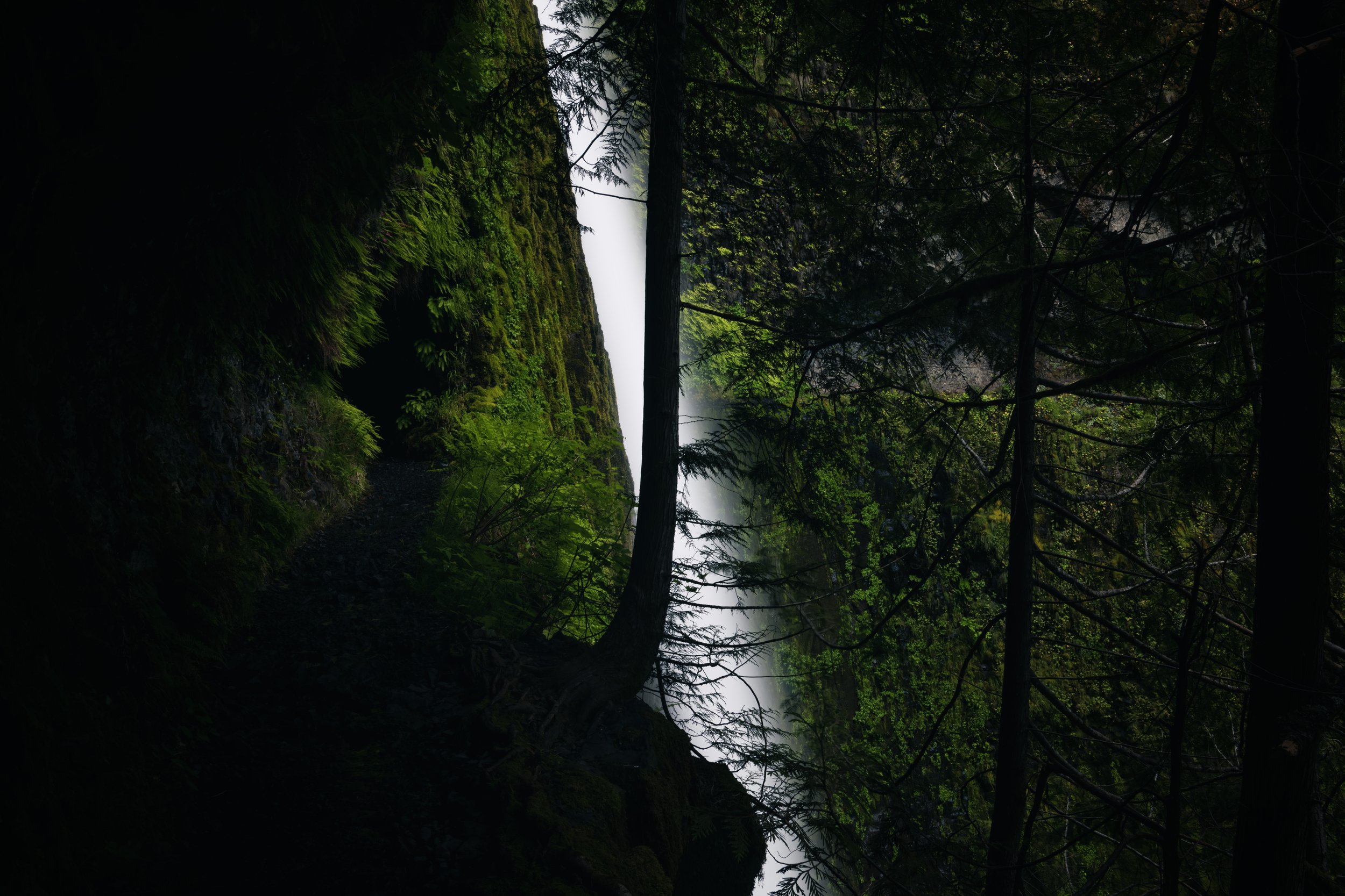 _DSC1743-Enhanced-NR - (EricACS_Pro edit, small) copy.jpg