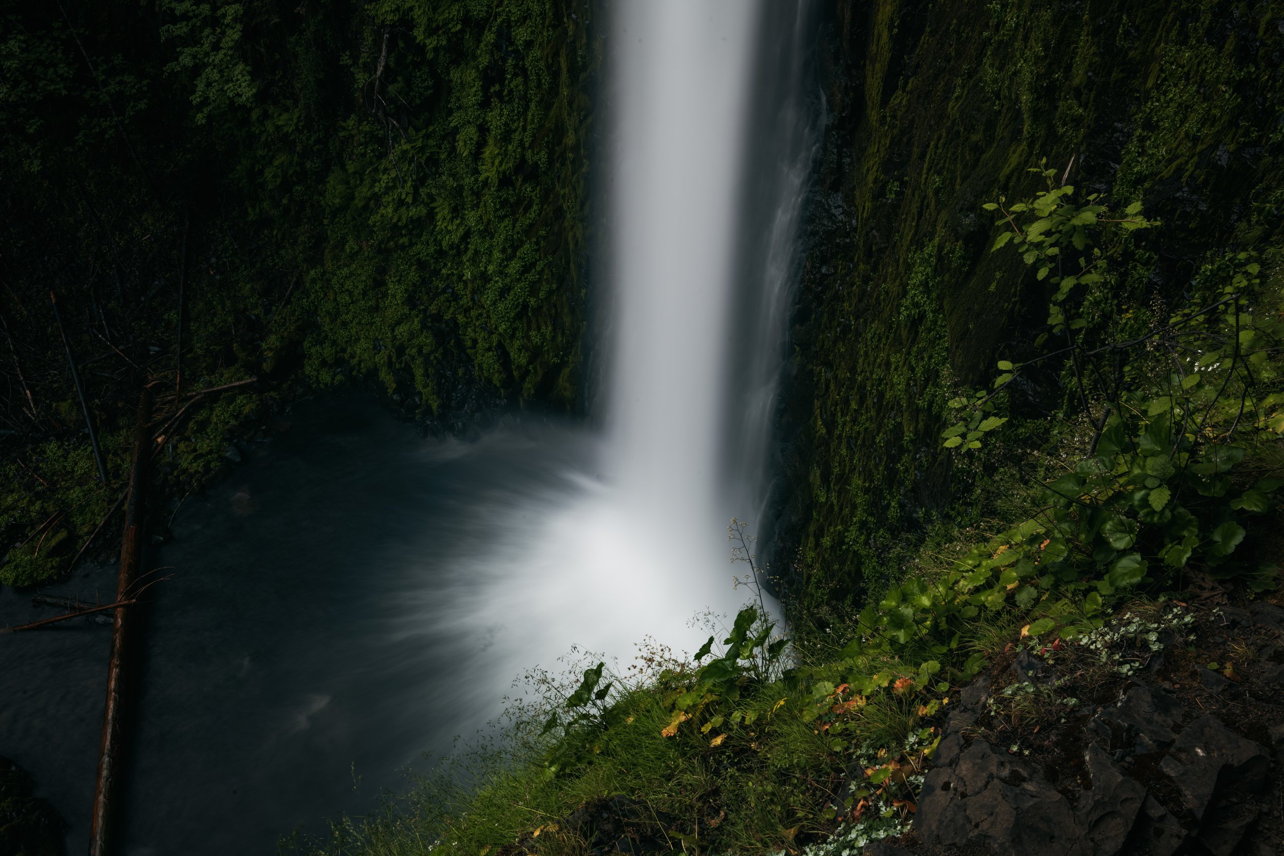 _DSC1751-Enhanced-NR - (EricACS_Pro edit, small) copy.jpg