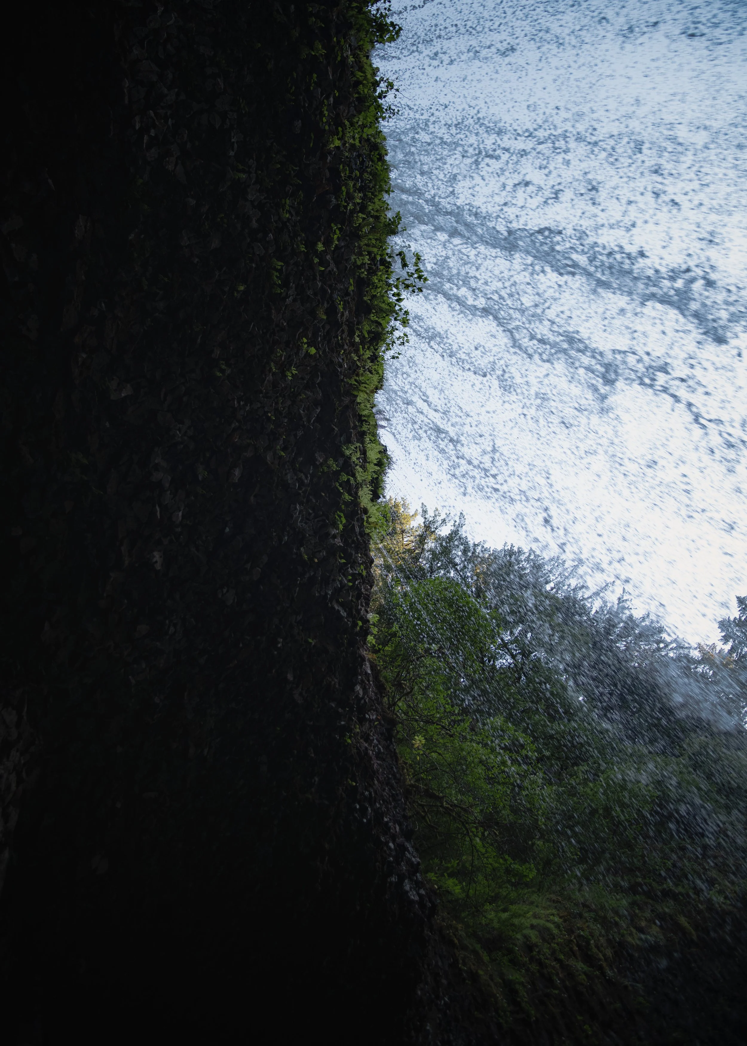 _DSC2931-Enhanced-NR - (EricACS_Pro edit, small) copy.jpg