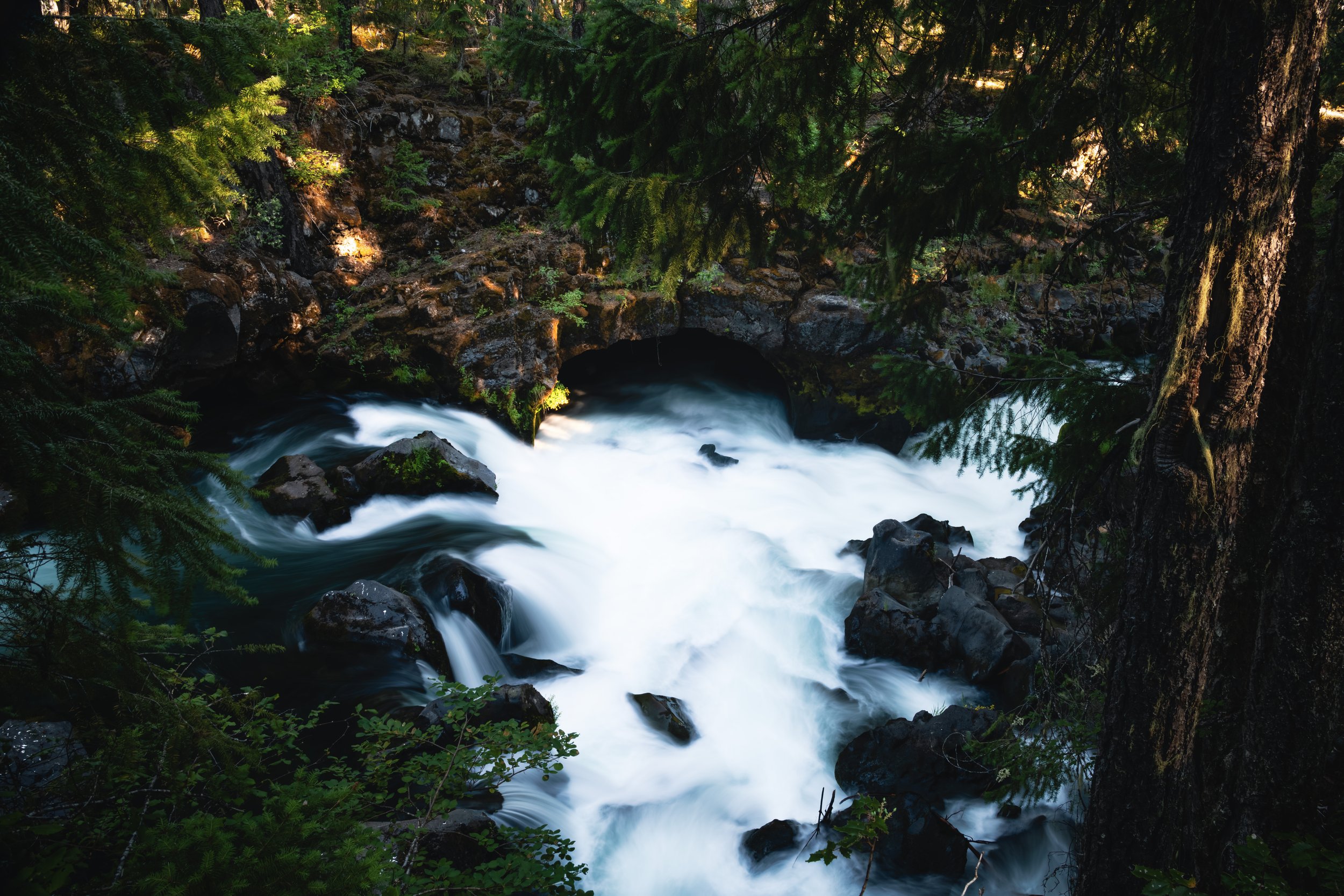 _DSC9981-Enhanced-NR - (EricACS_Pro edit, small) copy.jpg