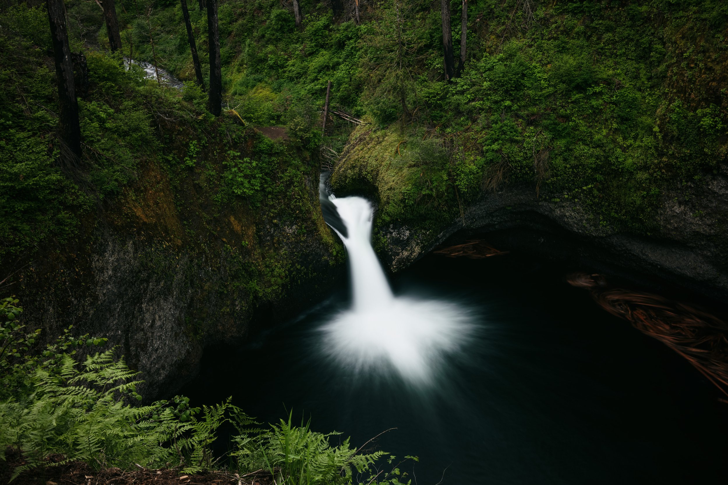 _DSC1696-Enhanced-NR - (EricACS_Pro edit, small) copy.jpg