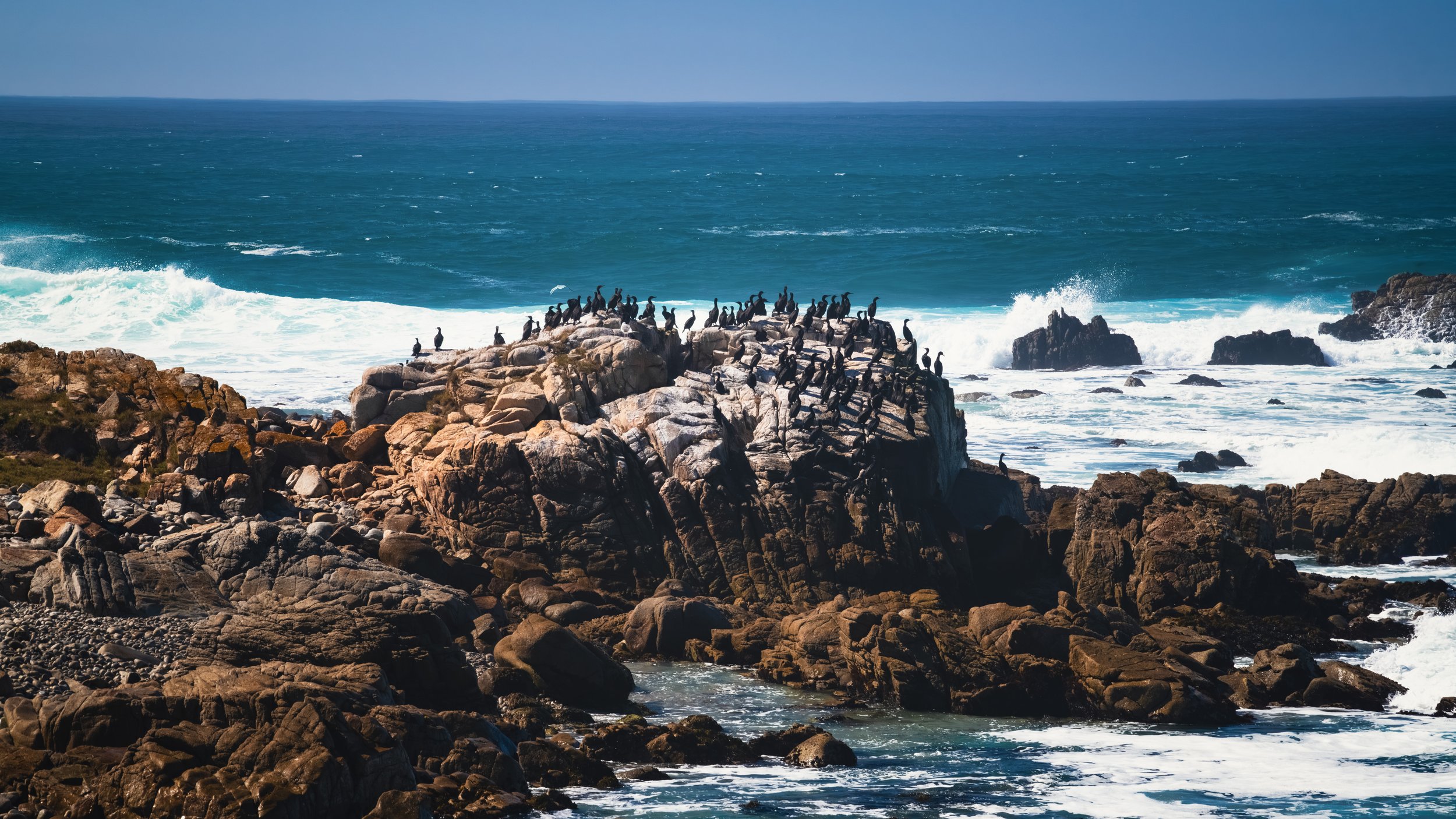 _DSC4086-Enhanced-NR-1 - (EricACS_Pro edit, small) copy.jpg