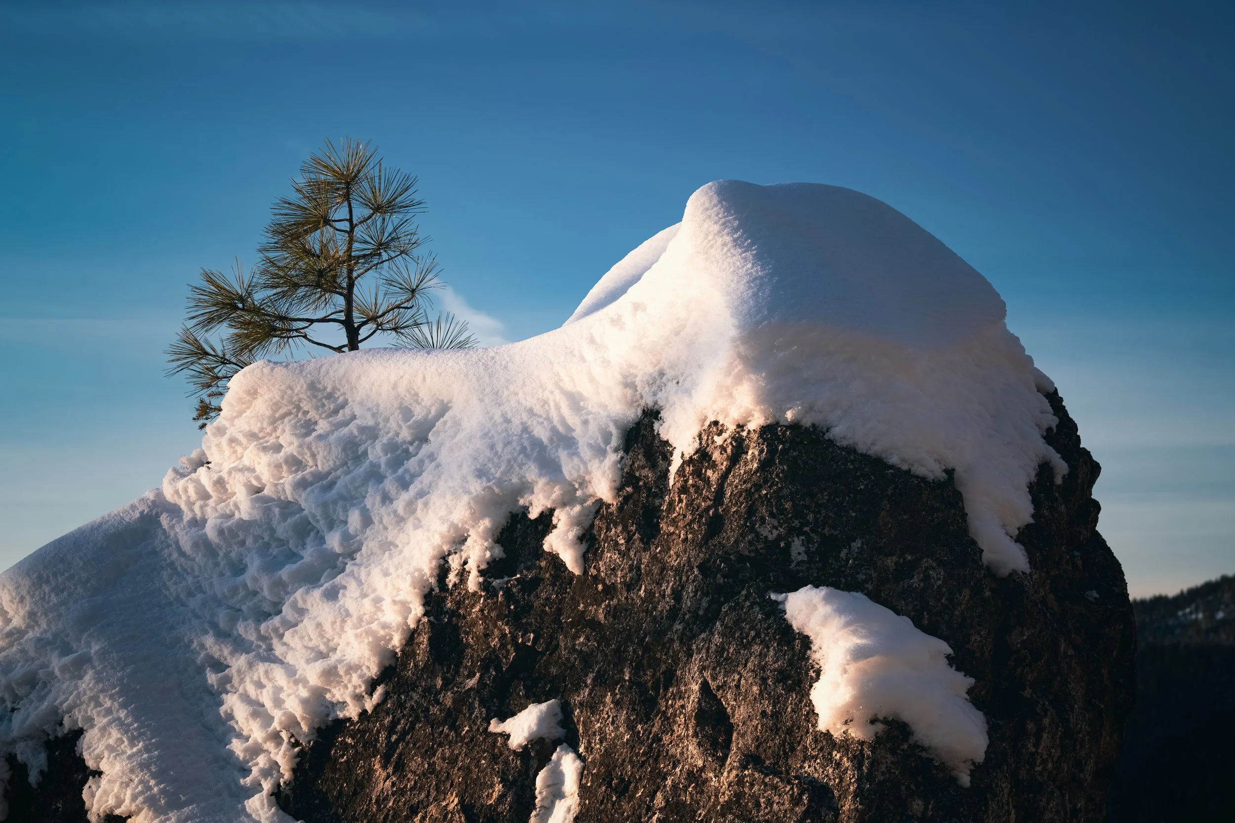 _DSC0182-Enhanced-NR - (EricACS_Pro edit, small) copy.jpg