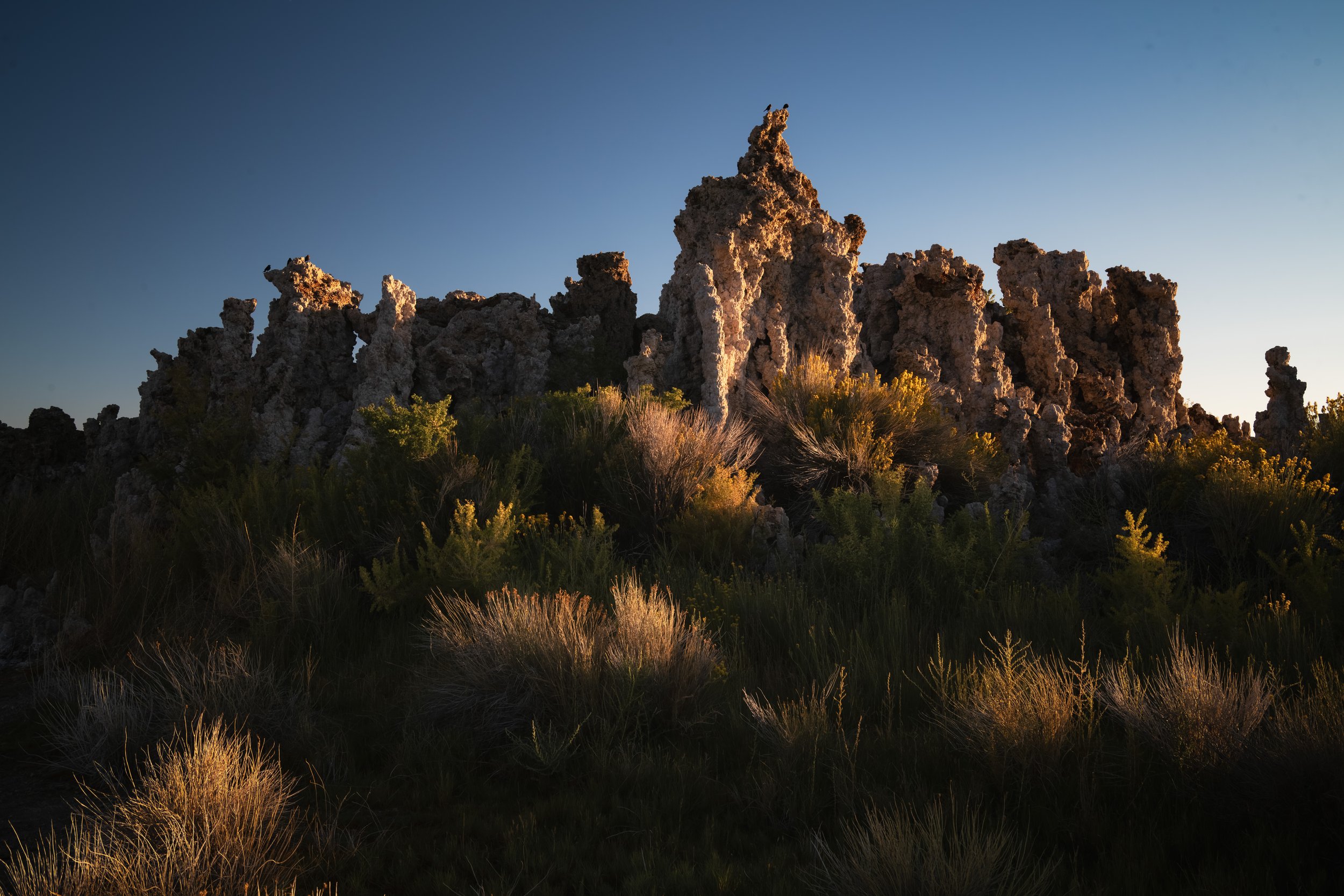 _DSC4657-Enhanced-NR - (EricACS_Pro edit, small) copy.jpg