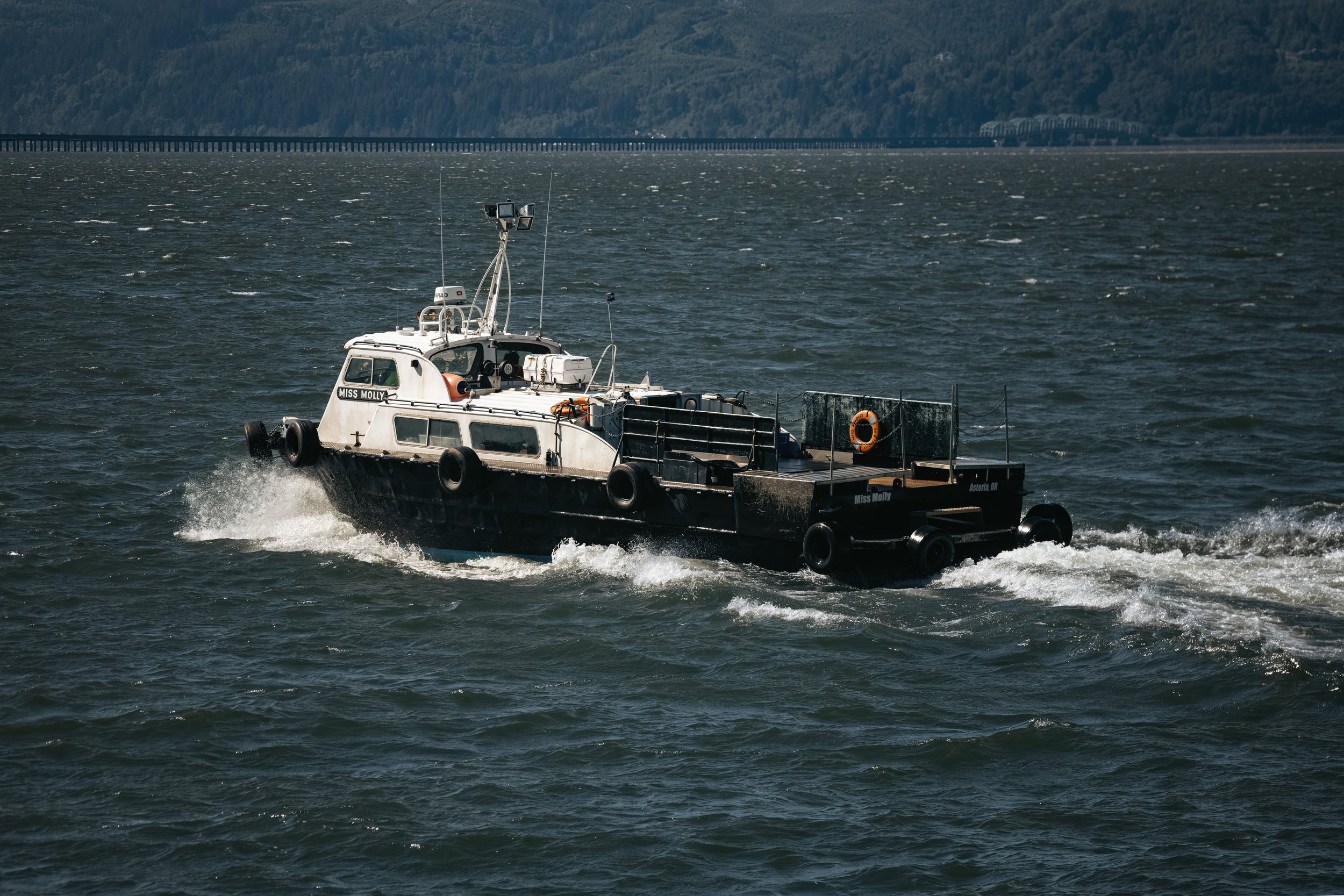 _DSC2107-Enhanced-NR-(EricACS_Pro edit, small) copy.jpg