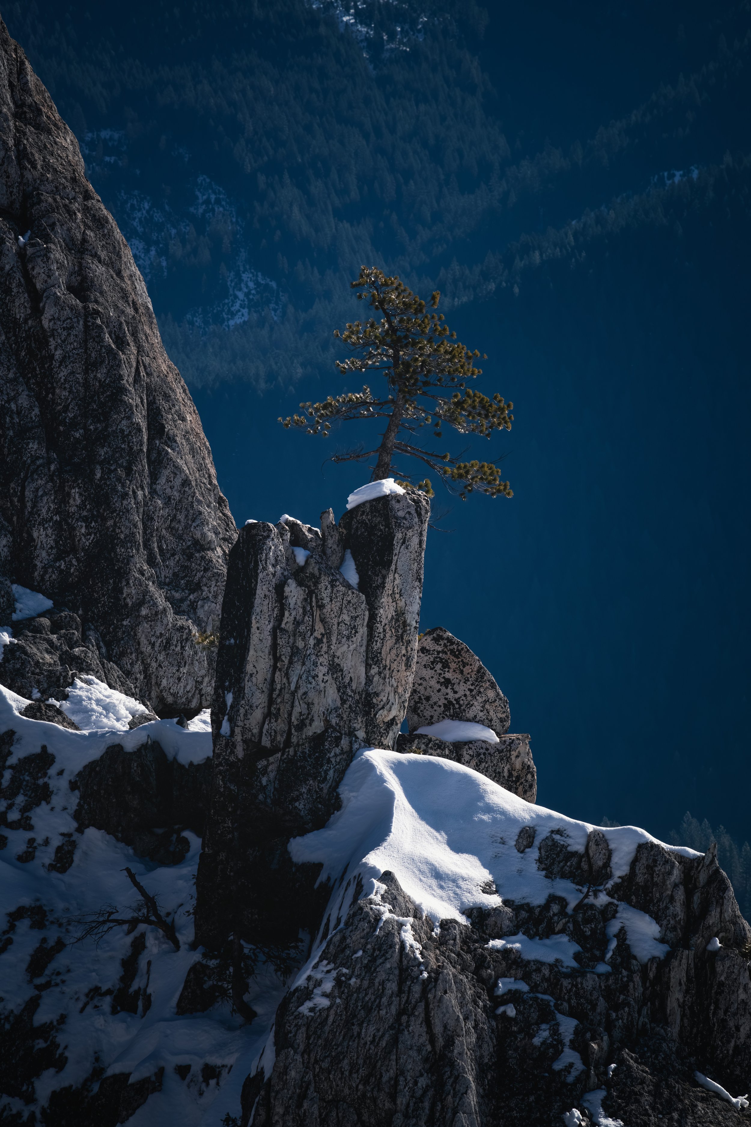 _DSC0467-Enhanced-NR - (EricACS_Pro edit, small) copy.jpg