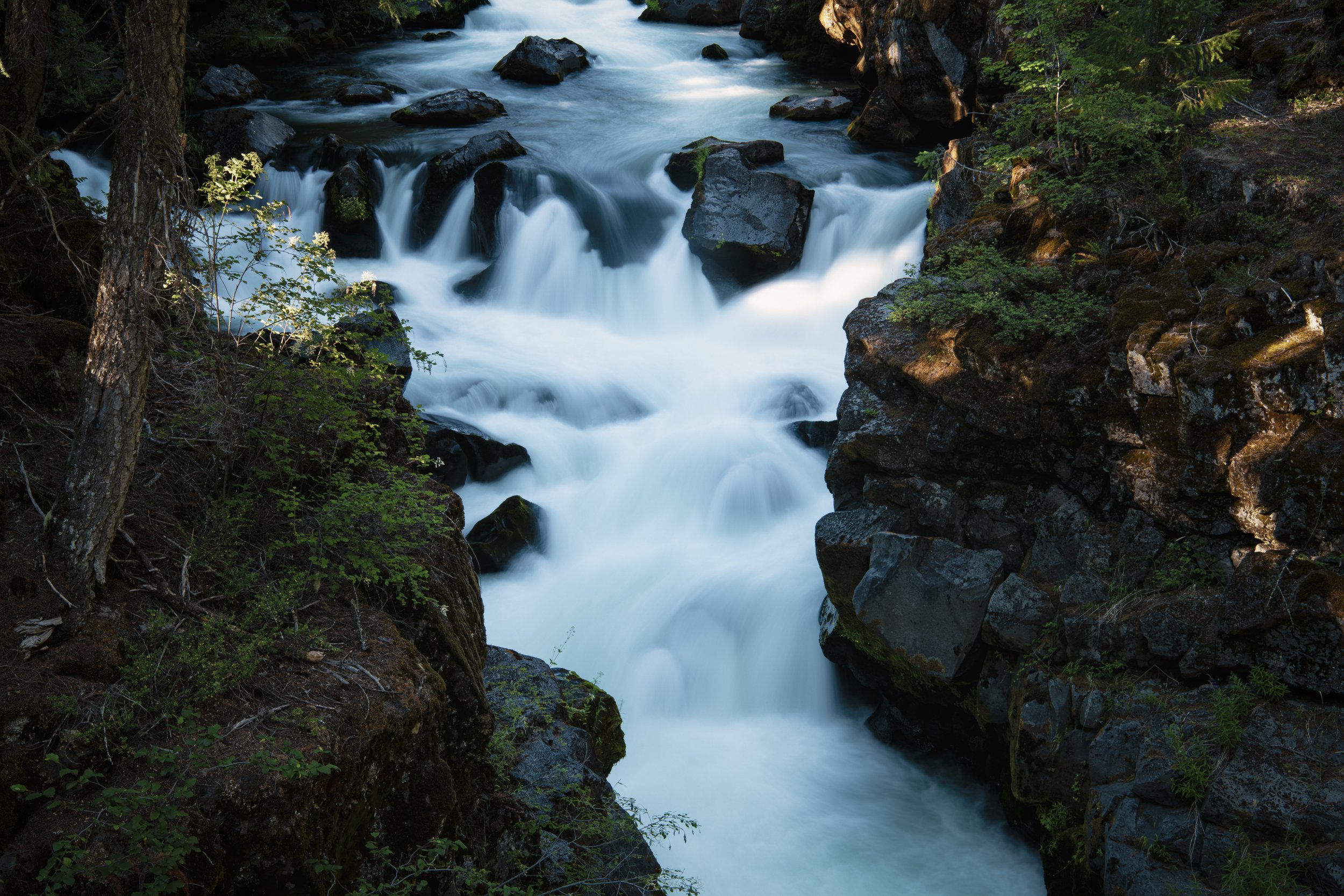 _DSC9971 - EricACS_Pro edit - (layer stack, vignette, small) copy.jpg