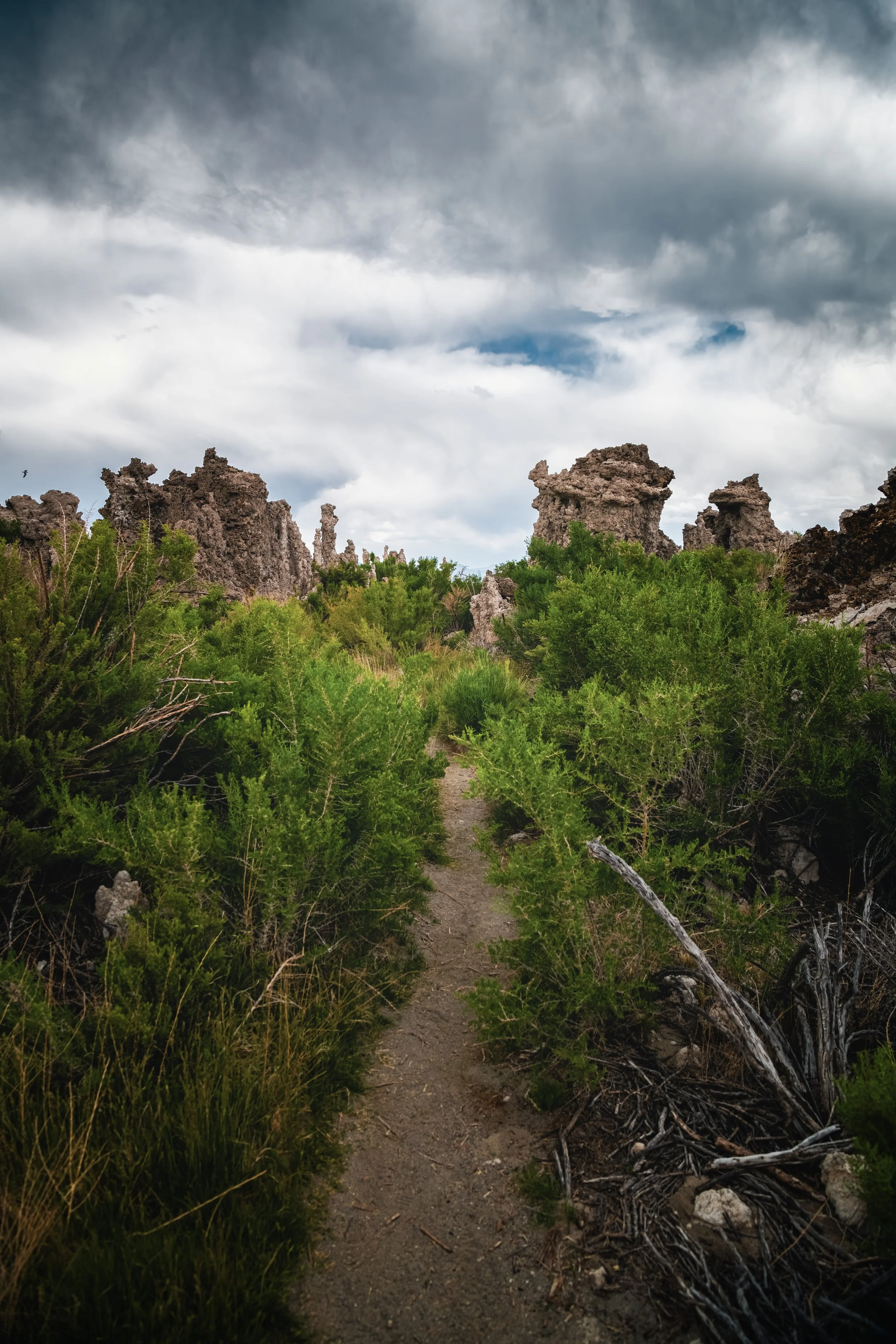 _DSC7440-Enhanced-NR - (EricACS_Pro edit, small) copy.jpg