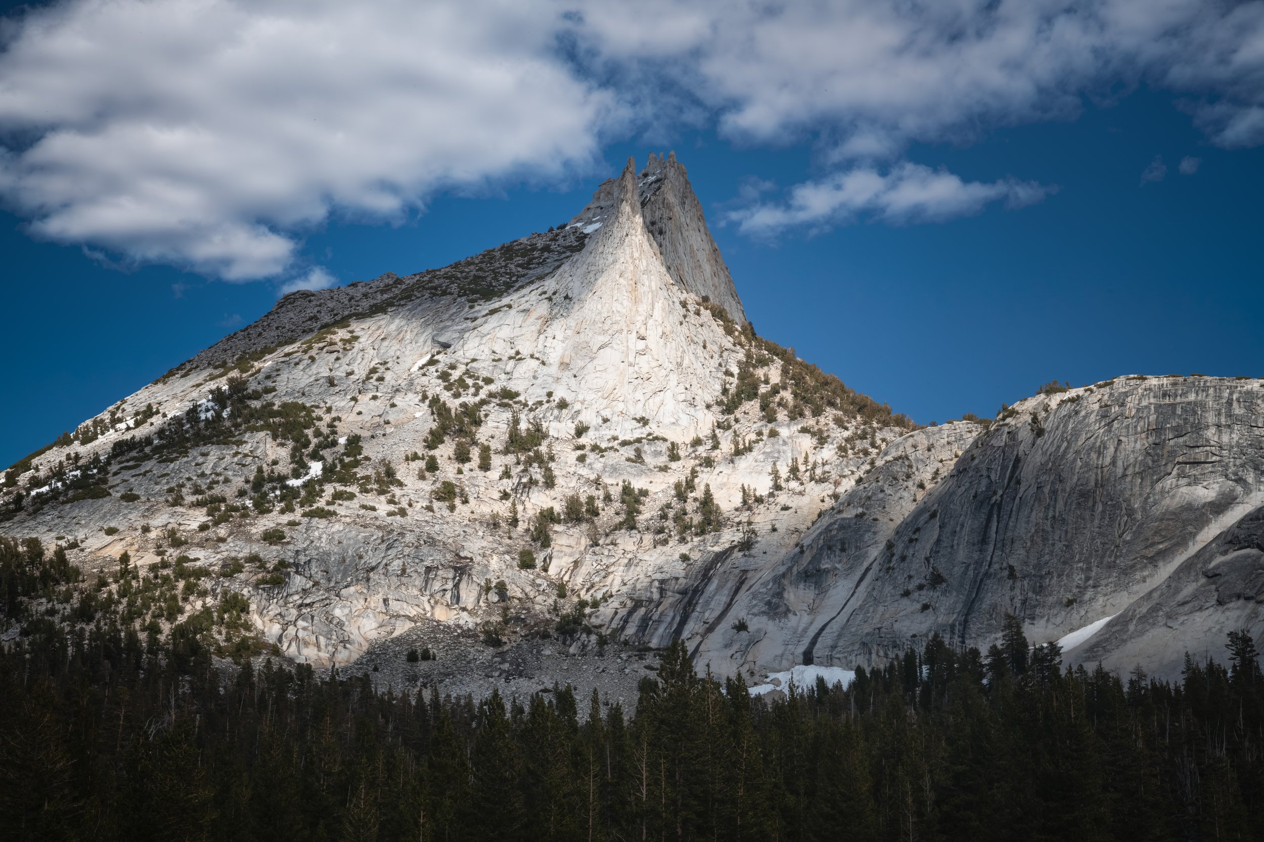 _DSC8457-Enhanced-NR - (EricACS_Pro edit, small) copy.jpg
