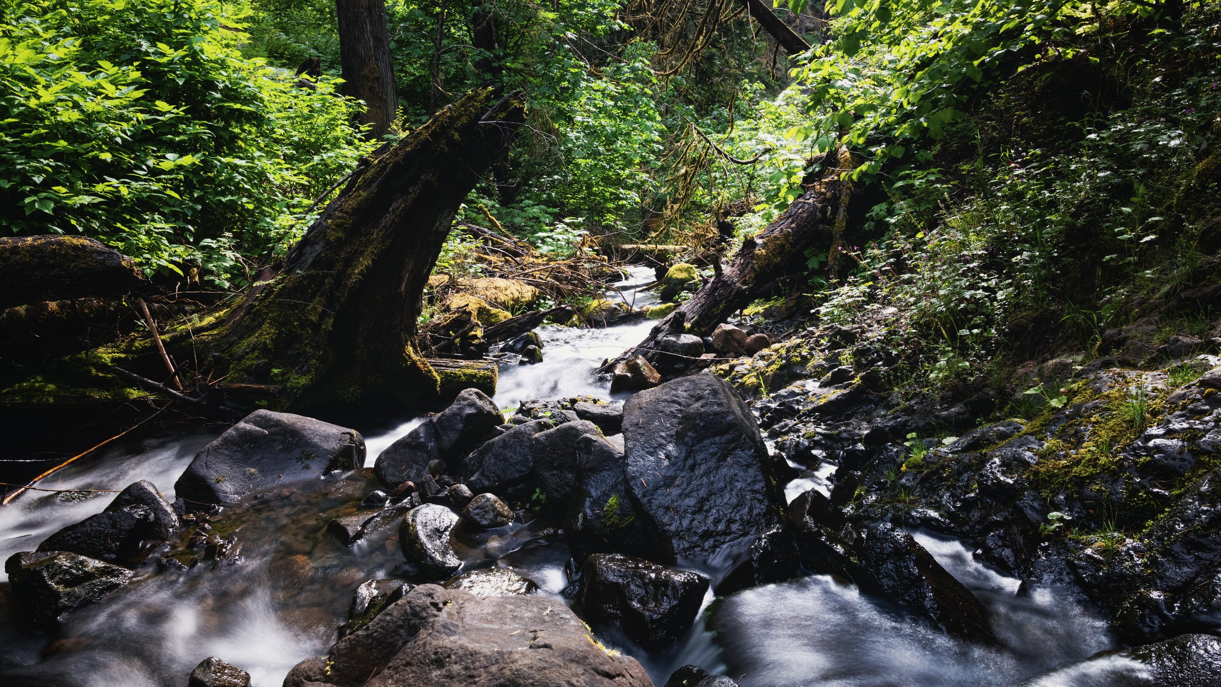 _DSC1692-Enhanced-NR - (EricACS_Pro edit, small) copy.jpg