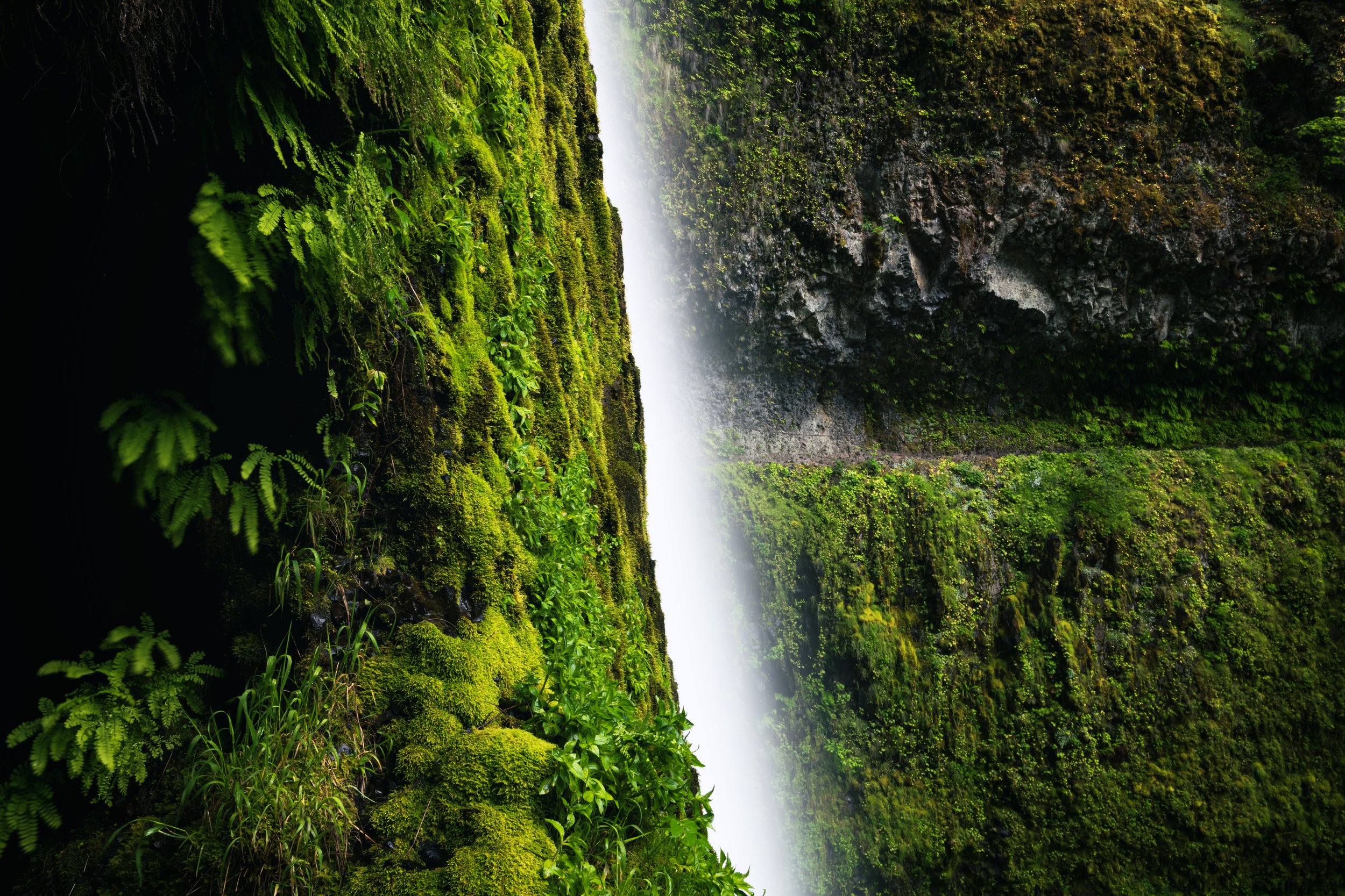 _DSC1747-Enhanced-NR - (EricACS_Pro edit, small) copy.jpg
