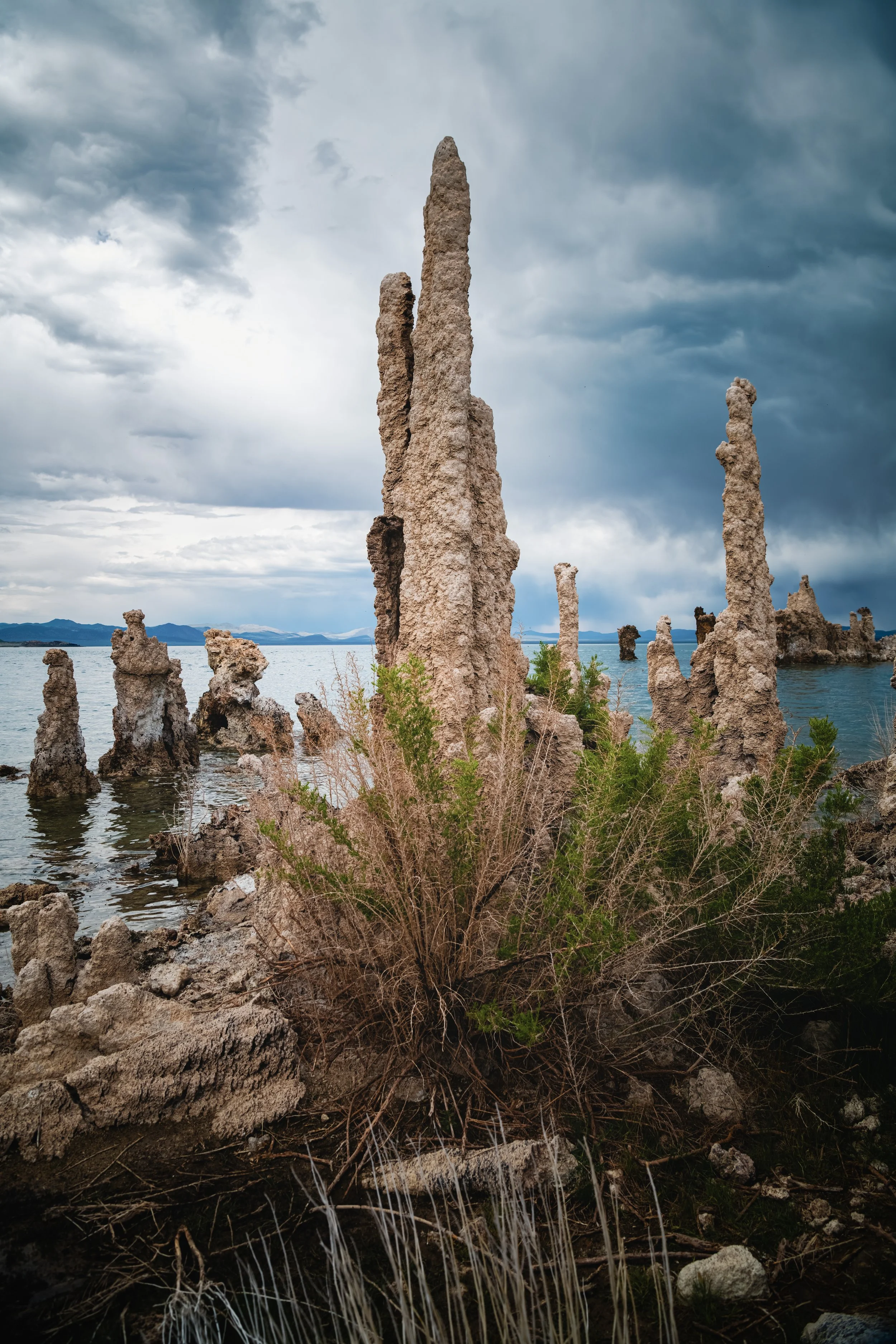 _DSC7548-Enhanced-NR - (EricACS_Pro edit, small) copy.jpg