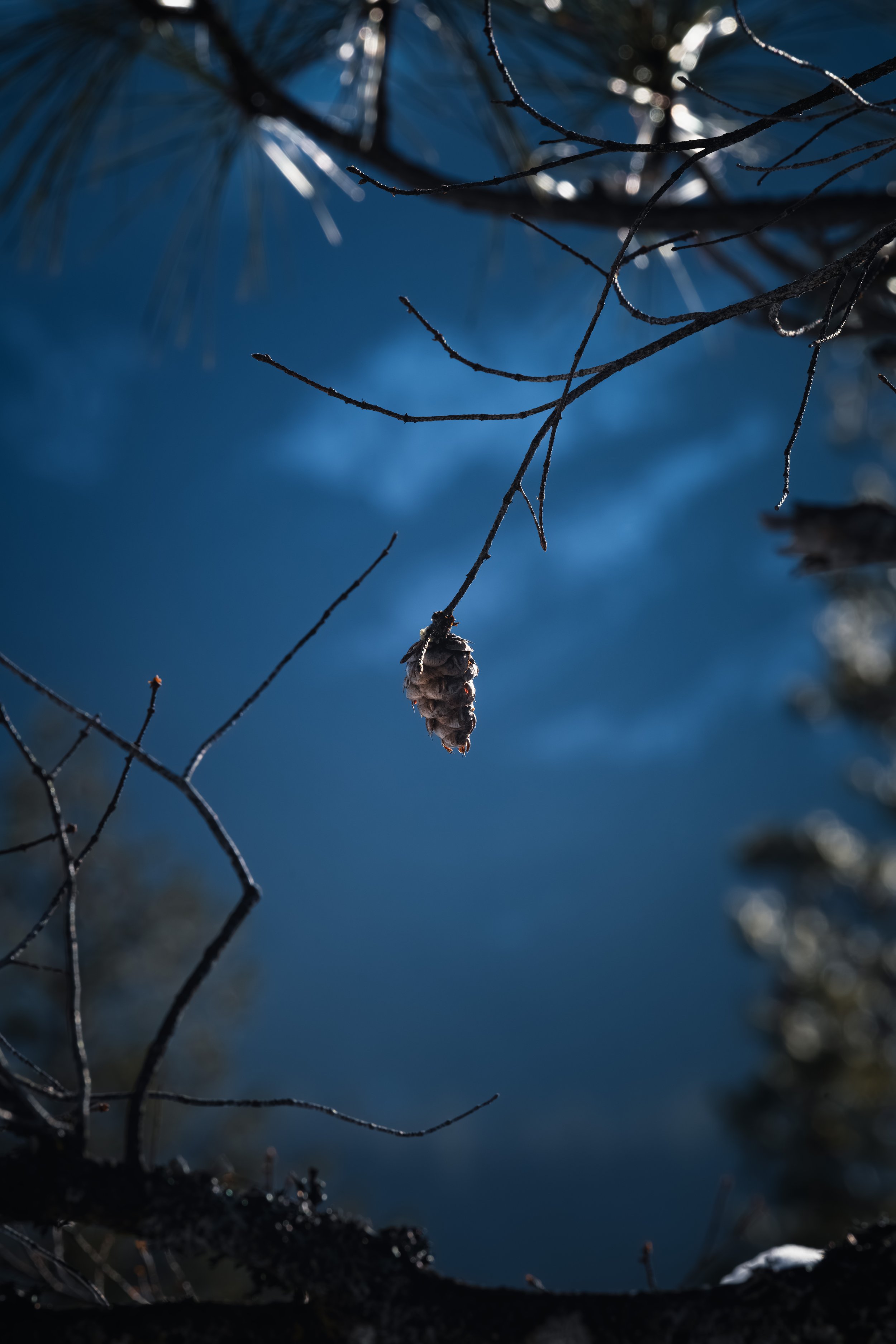 _DSC0362-Enhanced-NR - (EricACS_Pro edit, small) copy.jpg