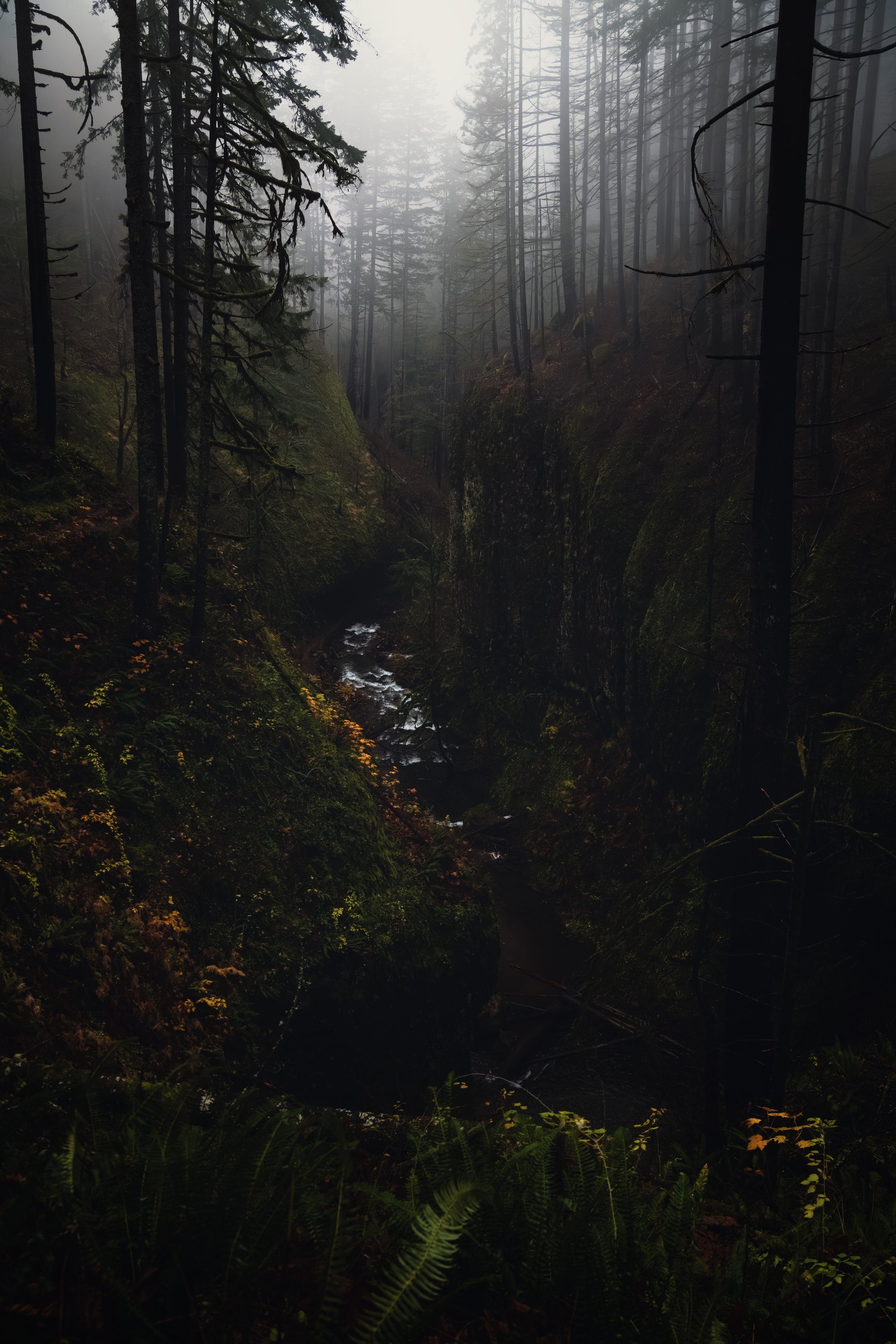 _DSC8054-Enhanced-NR - (EricACS_Pro edit, small) copy.jpg