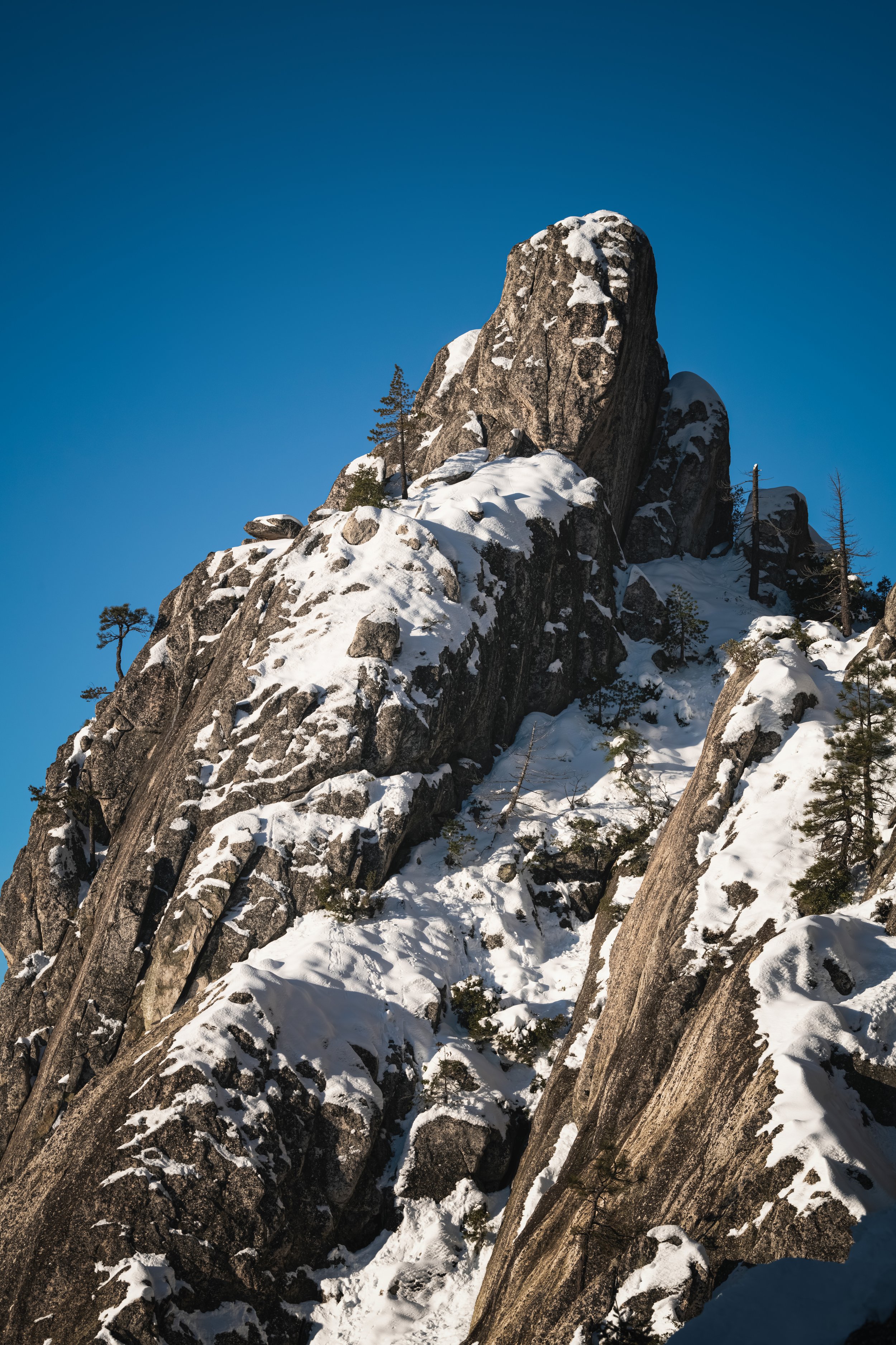 _DSC0313-Enhanced-NR - (EricACS_Pro edit, small version) copy.jpg
