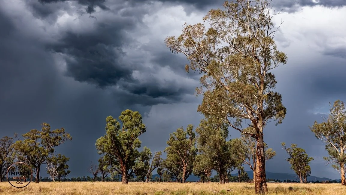 From skipping rocks to rolling thunderstorms &mdash; the Namoi River gave us it all in one afternoon. 🌧️🌿

Quiet moments, wild skies and everything in between. This is why I love telling stories through the lens.

#impactmediaco #river #storm #land