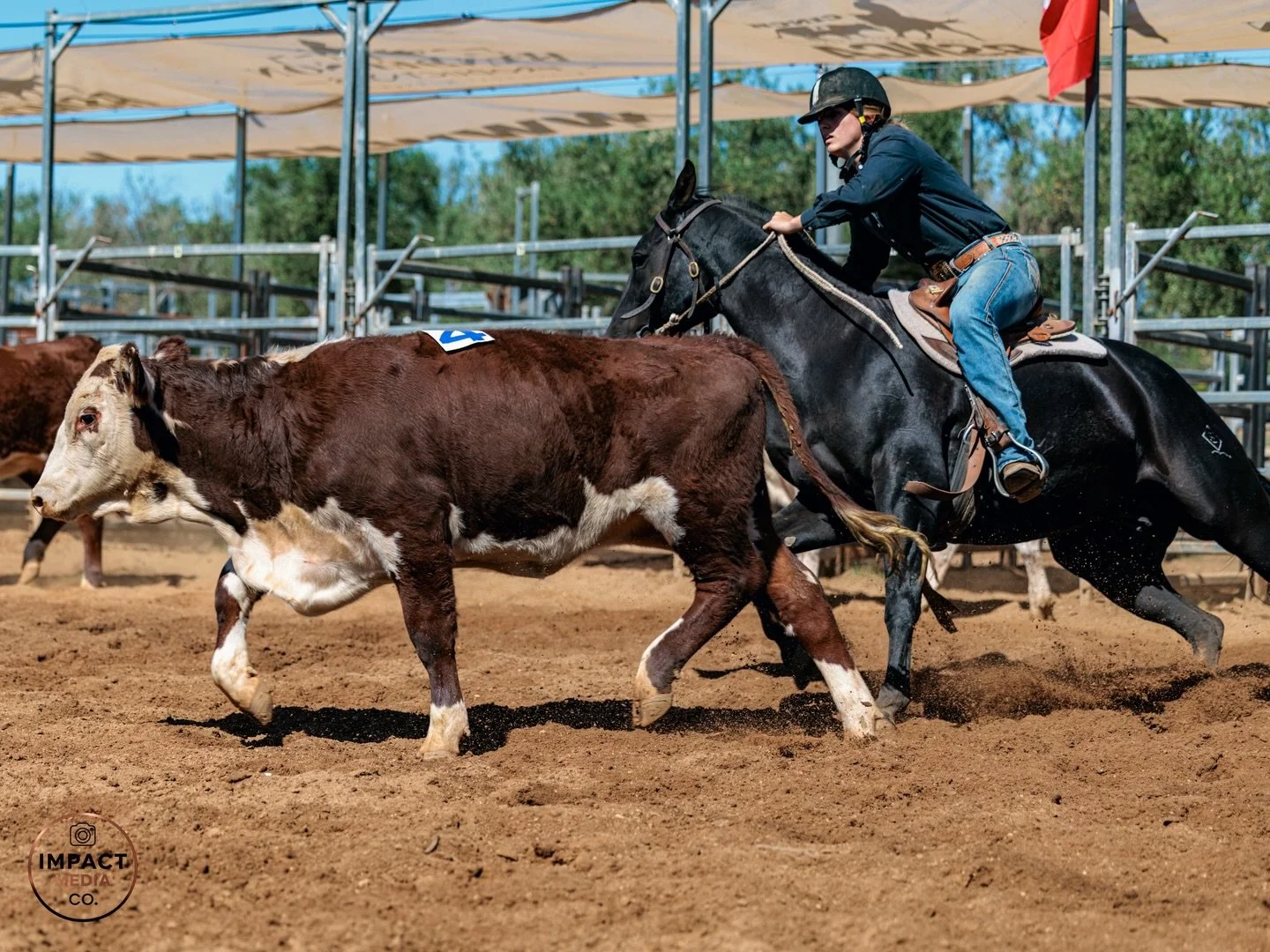 Sneak Peek 👀🐎

Here&rsquo;s a sneak peek from Saturday&rsquo;s Ranch Sorting event. There was some great action in the yards. I&rsquo;m currently working through the photos and will hopefully be able to share the link to Saturday&rsquo;s gallery to