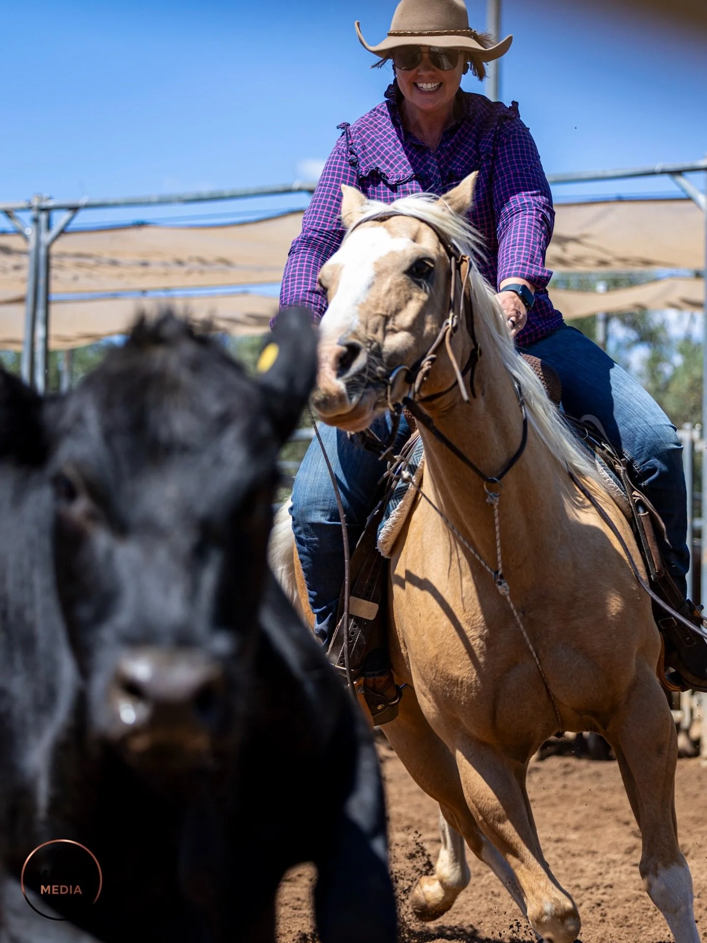 Sunday&rsquo;s Ranch Sorting photos are now live! 🐎📸

The gallery from Day 2 of the Henderson Productions Ranch Sorting event is now available to view.

👉 View the photos here:
https://www.bossfotos.com/customer/gallery/Day-2-Sunday-Events/15916

