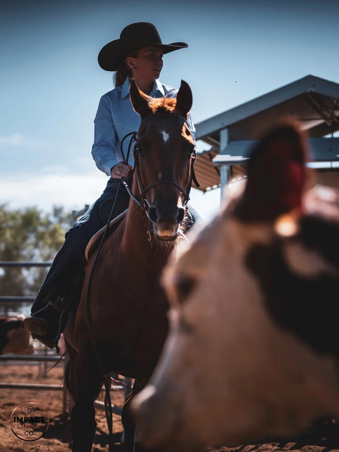 Still playing catch up&hellip; 😅
Here are a few more shots from the Ranch Sorting a few weeks ago that I hadn&rsquo;t shared yet 🤠🐎

All galleries are live👇
https://www.bossfotos.com/customer/events/Henderson-Productions/March-Ranch-Sorting-Event