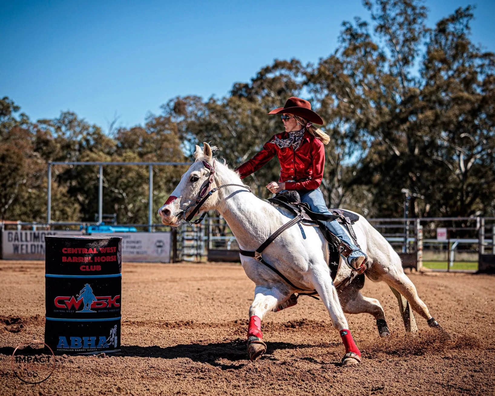 Barrel racer in a red shirt rides a white horse around a barrel.