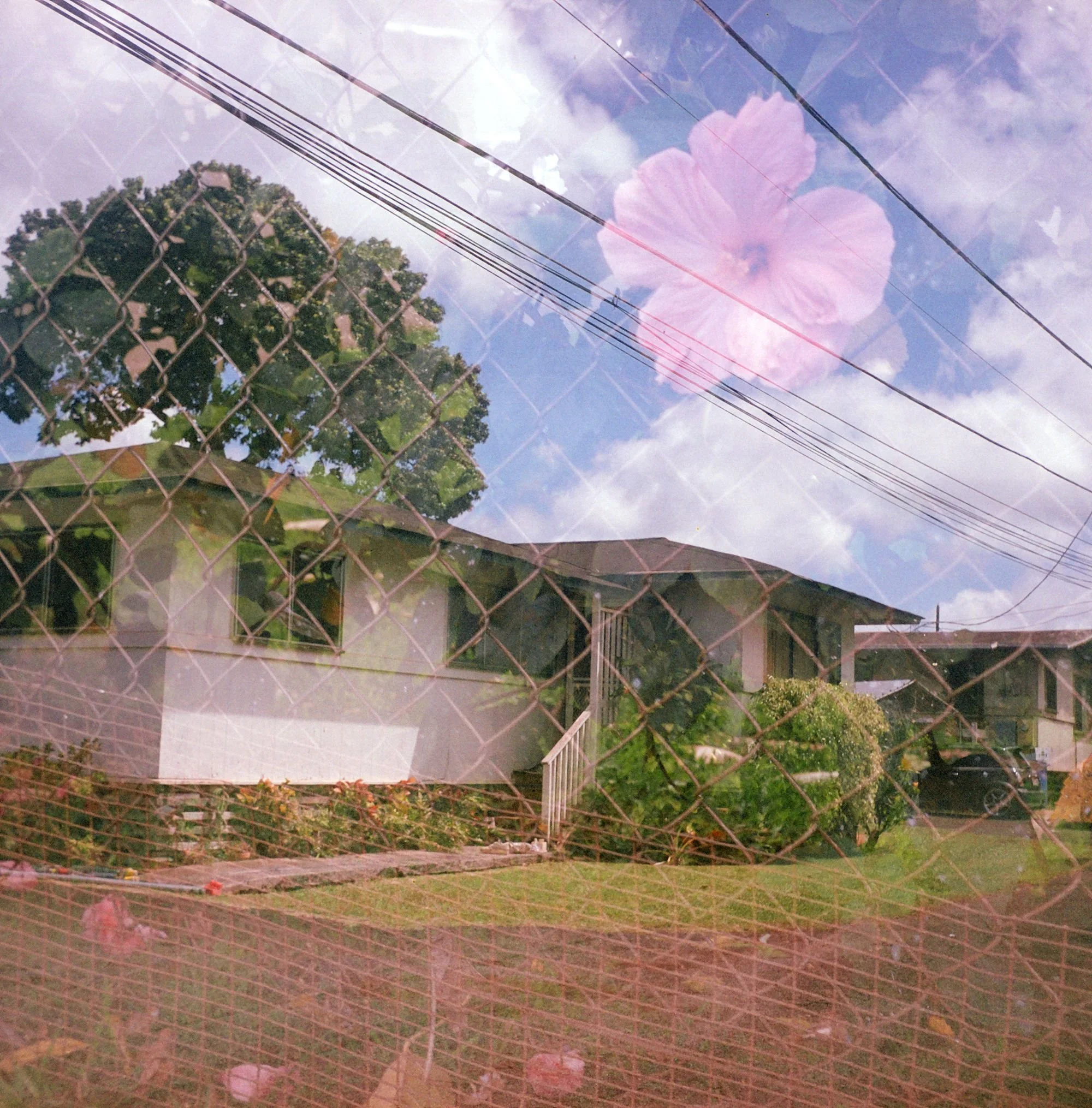Wahiawa 01.JPG