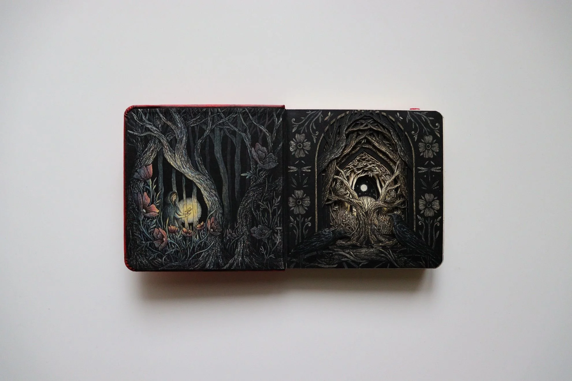 Curiosities of the Soul, 2026