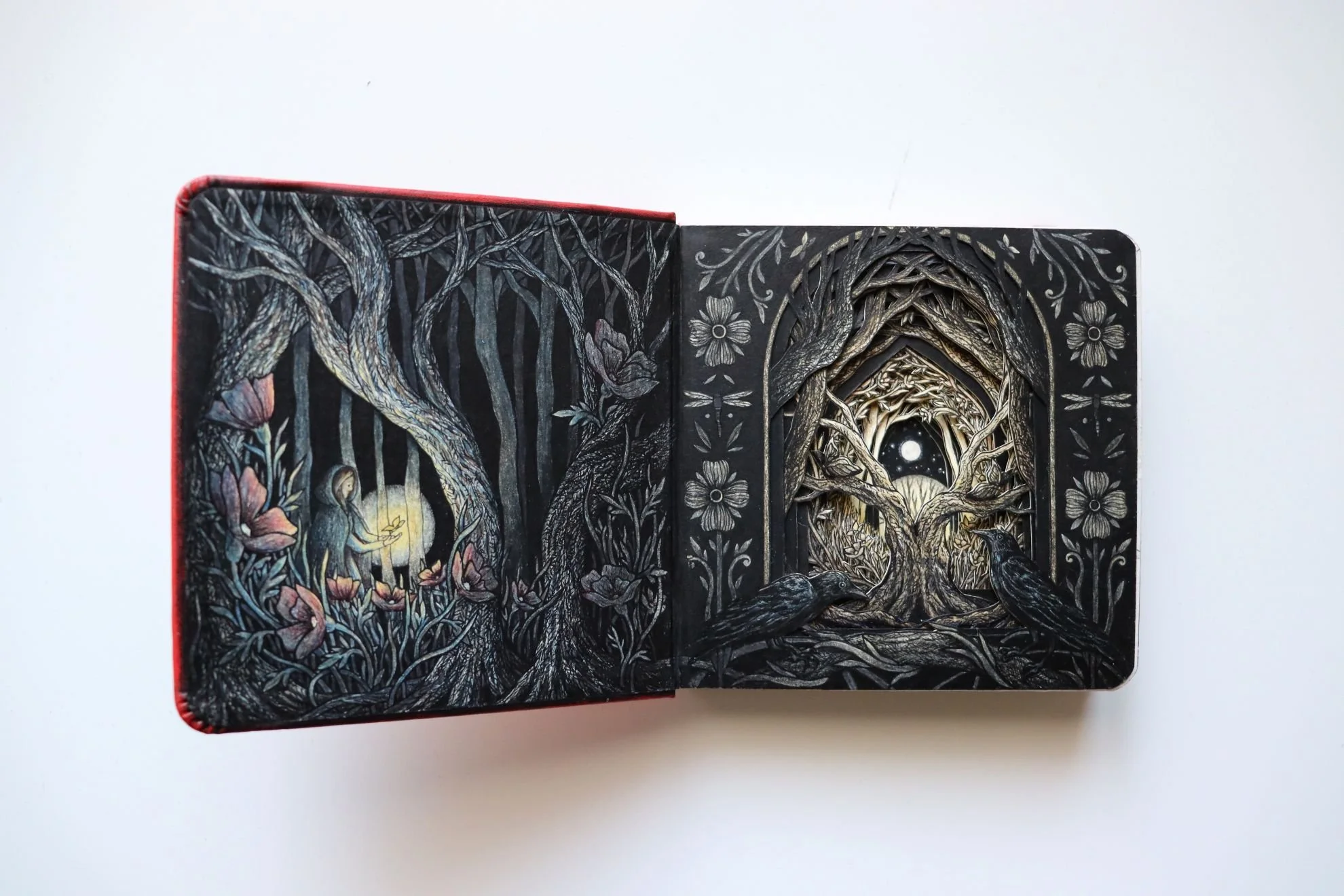 Curiosities of the Soul, 2026