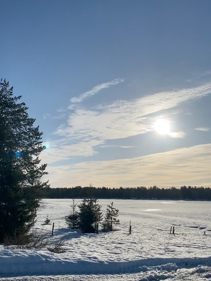 T&auml;ss&auml; t&auml;m&auml;n m&ouml;kkip&auml;&auml;si&auml;isen parhaimpia, poisluettuna kuvat meid&auml;n nuorisosta, jotka olivat my&ouml;s mukana esikoisen tytt&ouml;yst&auml;v&auml;&auml; my&ouml;ten, mutta eliv&auml;t omaan tahtiinsa ja viet