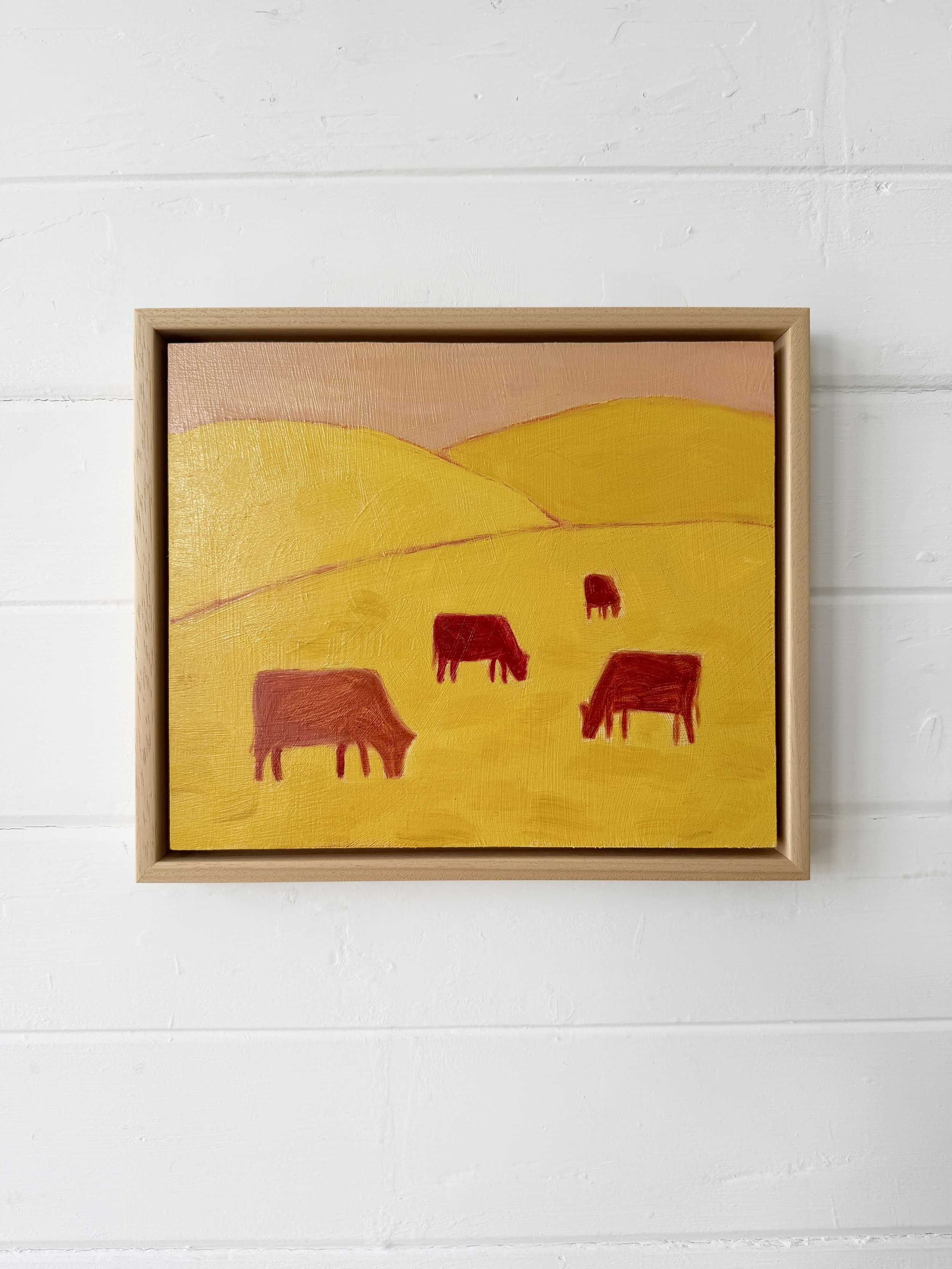 Northland Cows