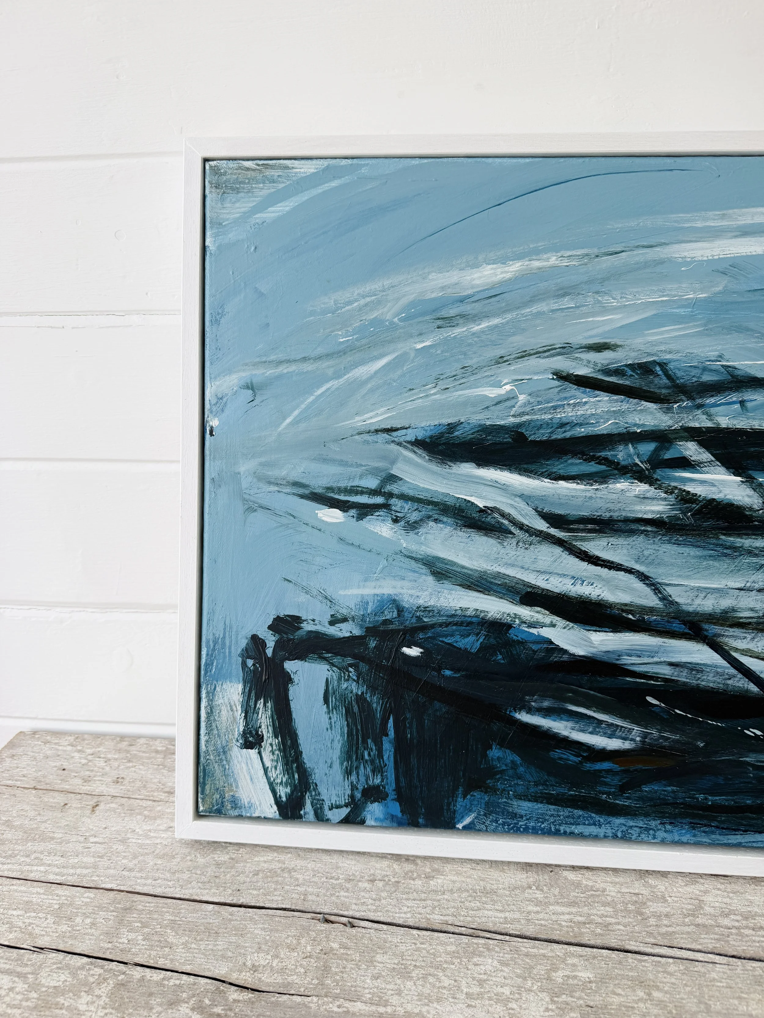 Kelp Forest - Prussia Cove_2.JPG