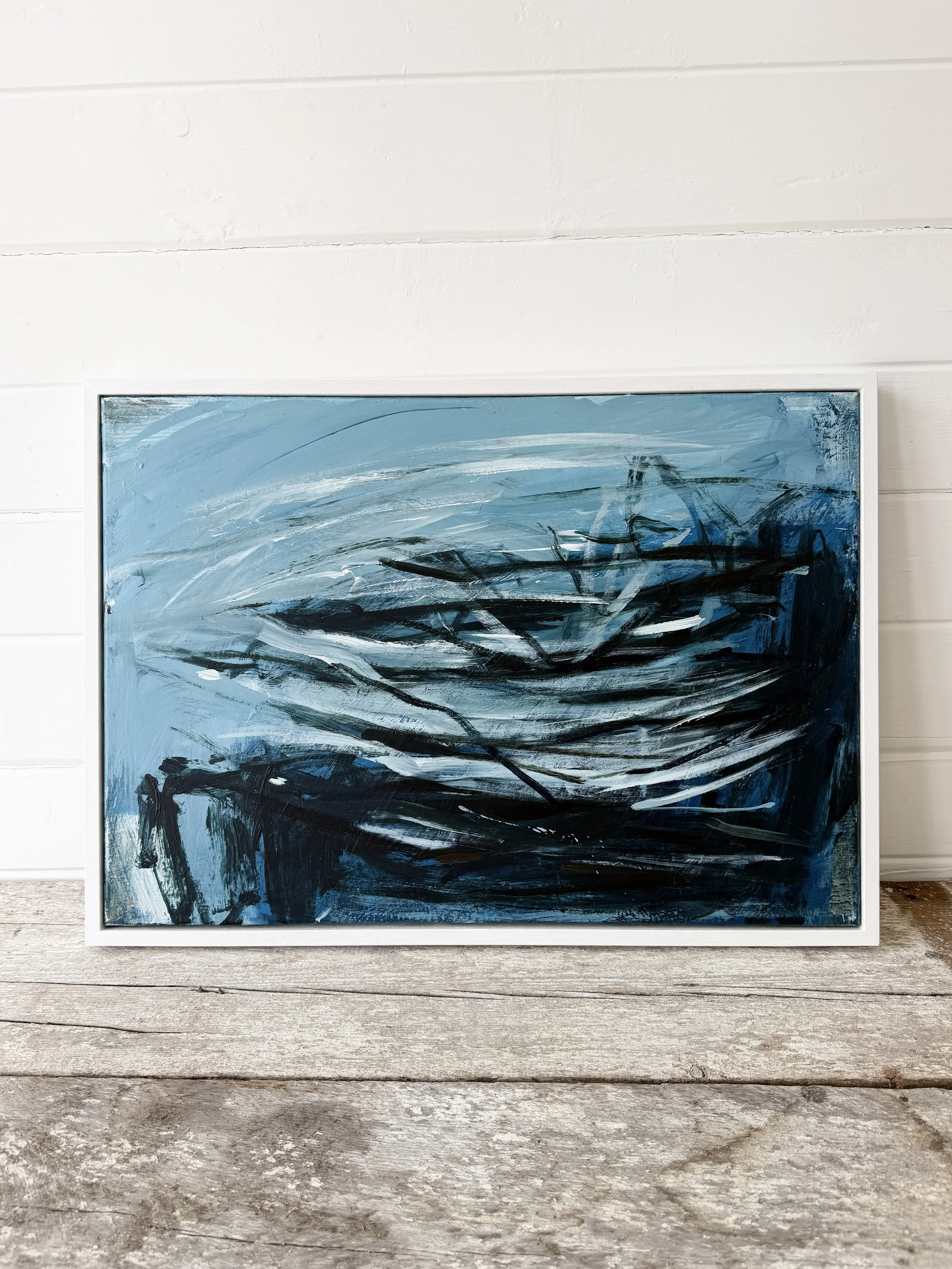 Kelp Forest - Prussia Cove_1.JPG
