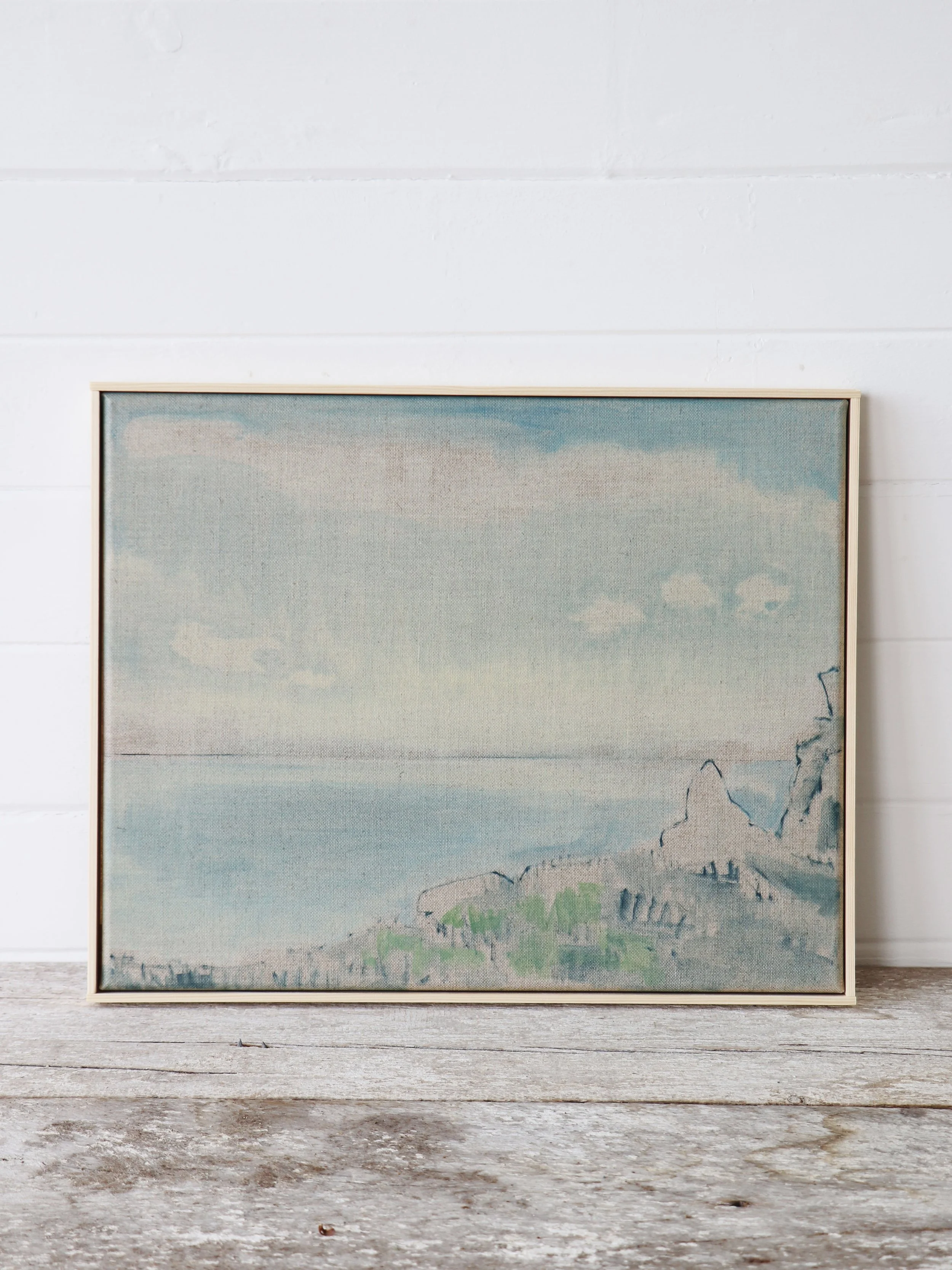 Seabird, Nornour, Isles of Scilly