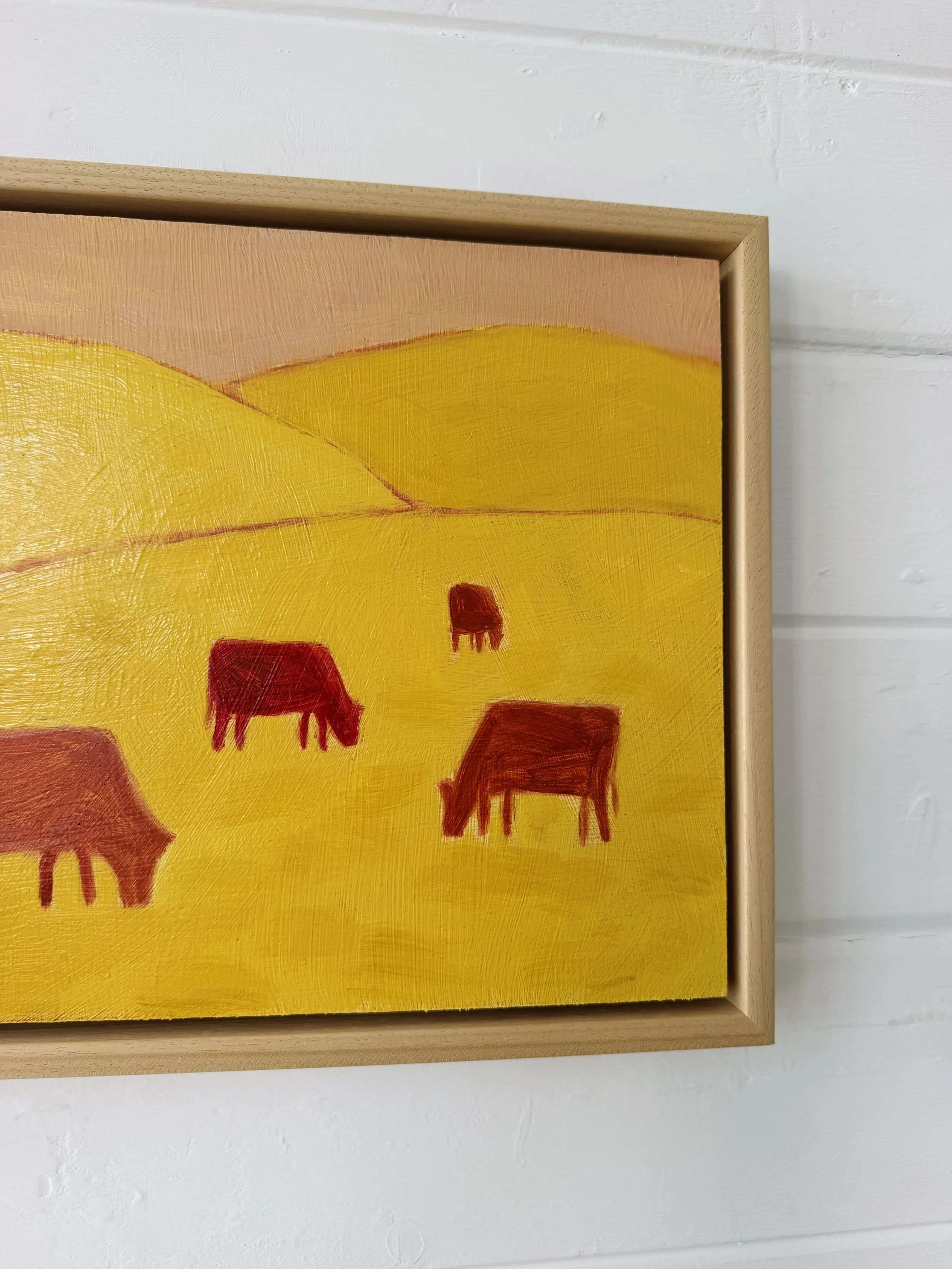 Northland Cows_2.jpg