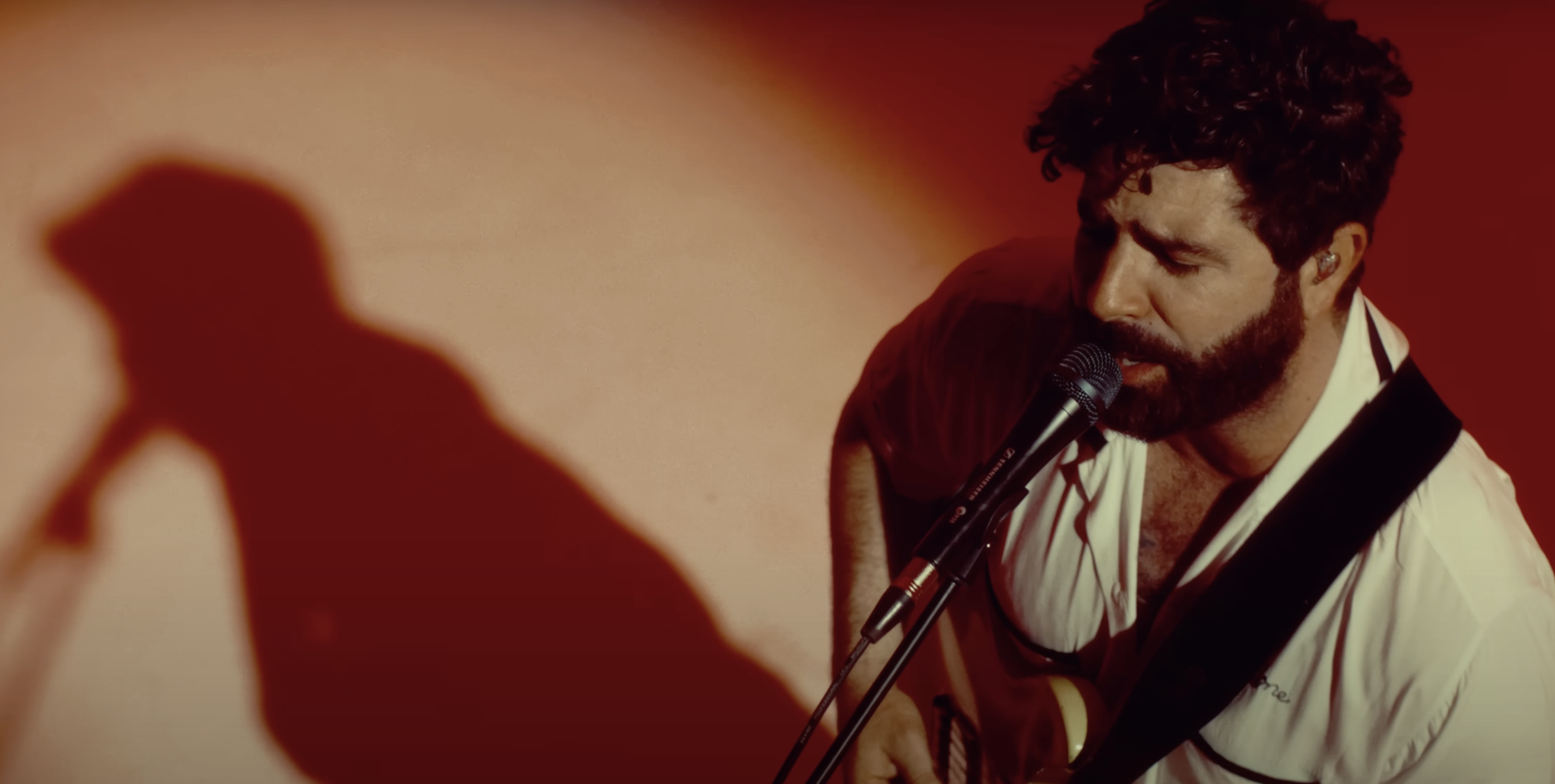 Foals