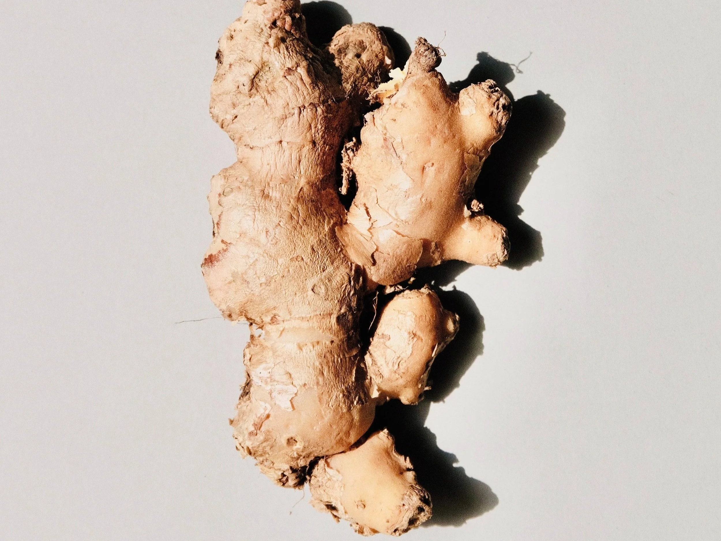 studionourish_blog_10Tipstobettersupportyourimmunesystemthiswinter_h2