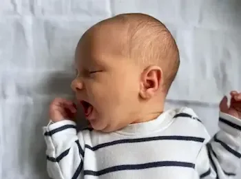 Feeding responsively 