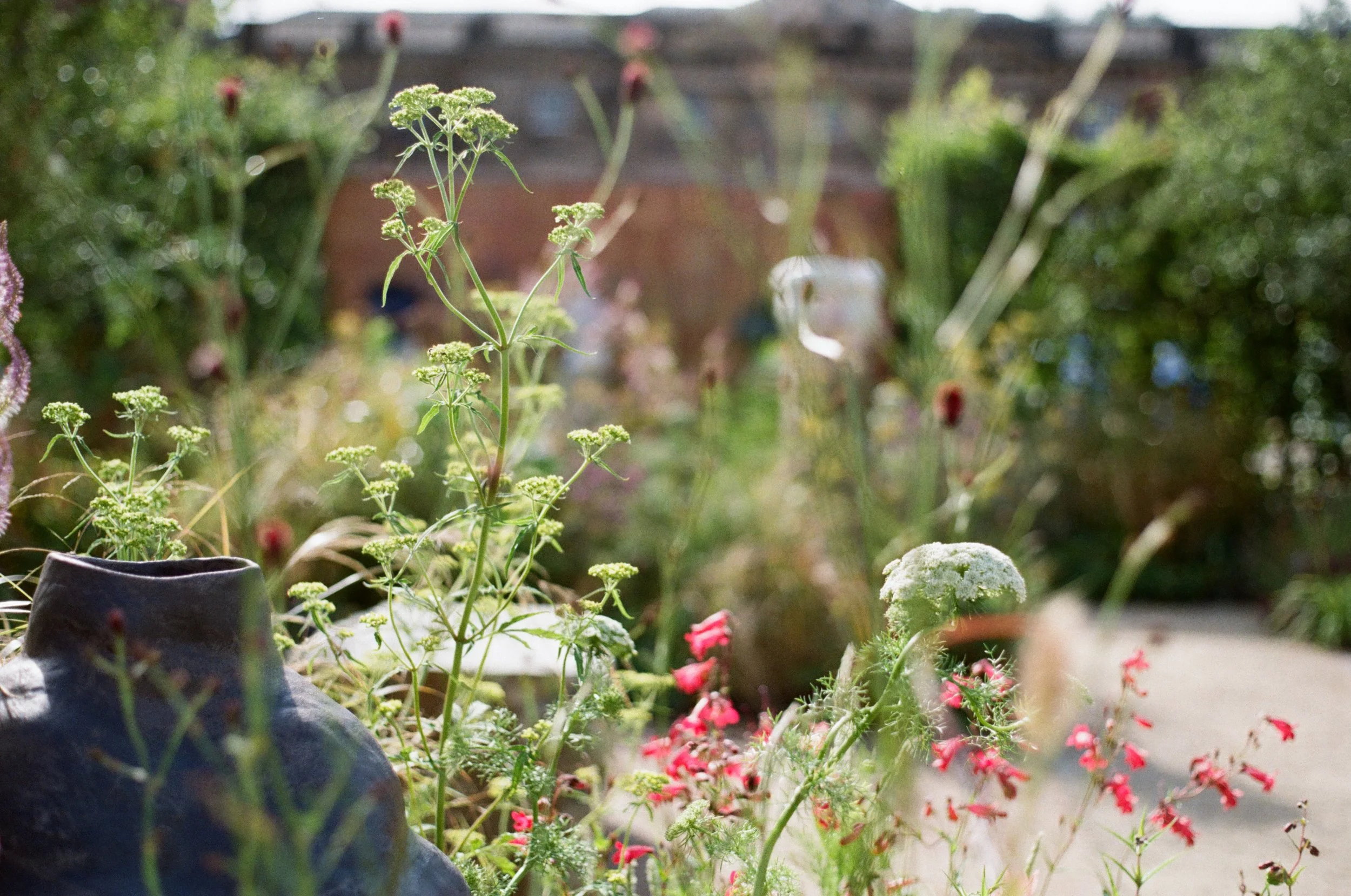 Perennial Planting and Garden Artwork