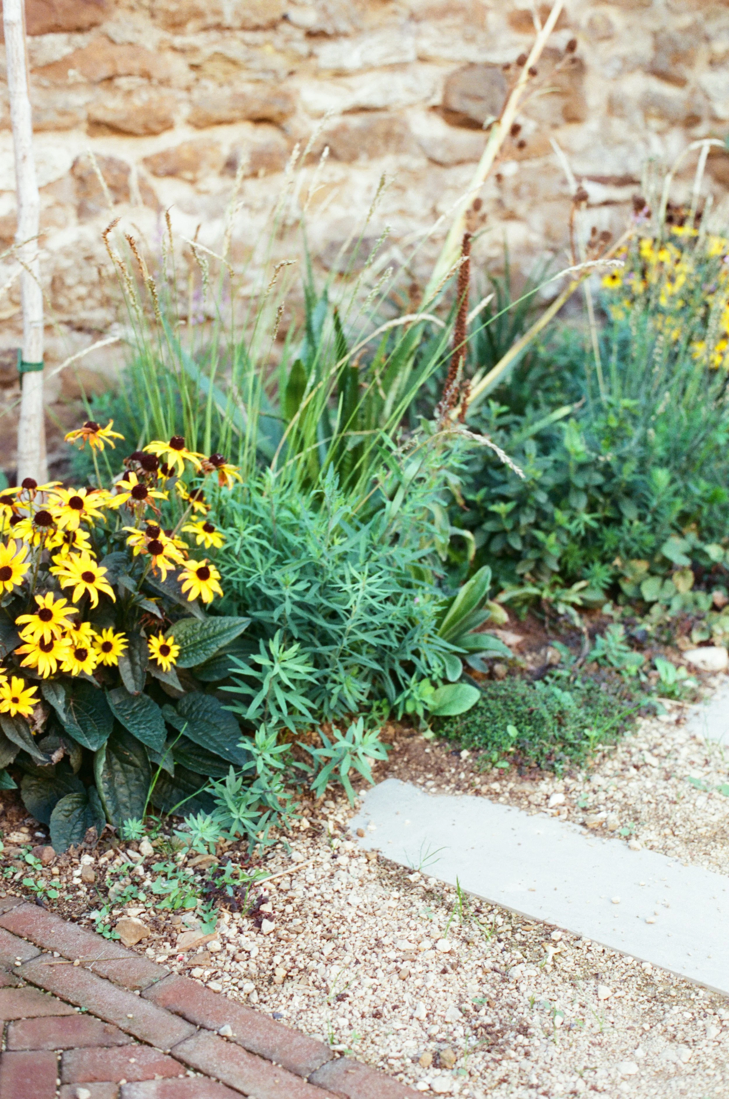 Matrix Planting at Path Edge