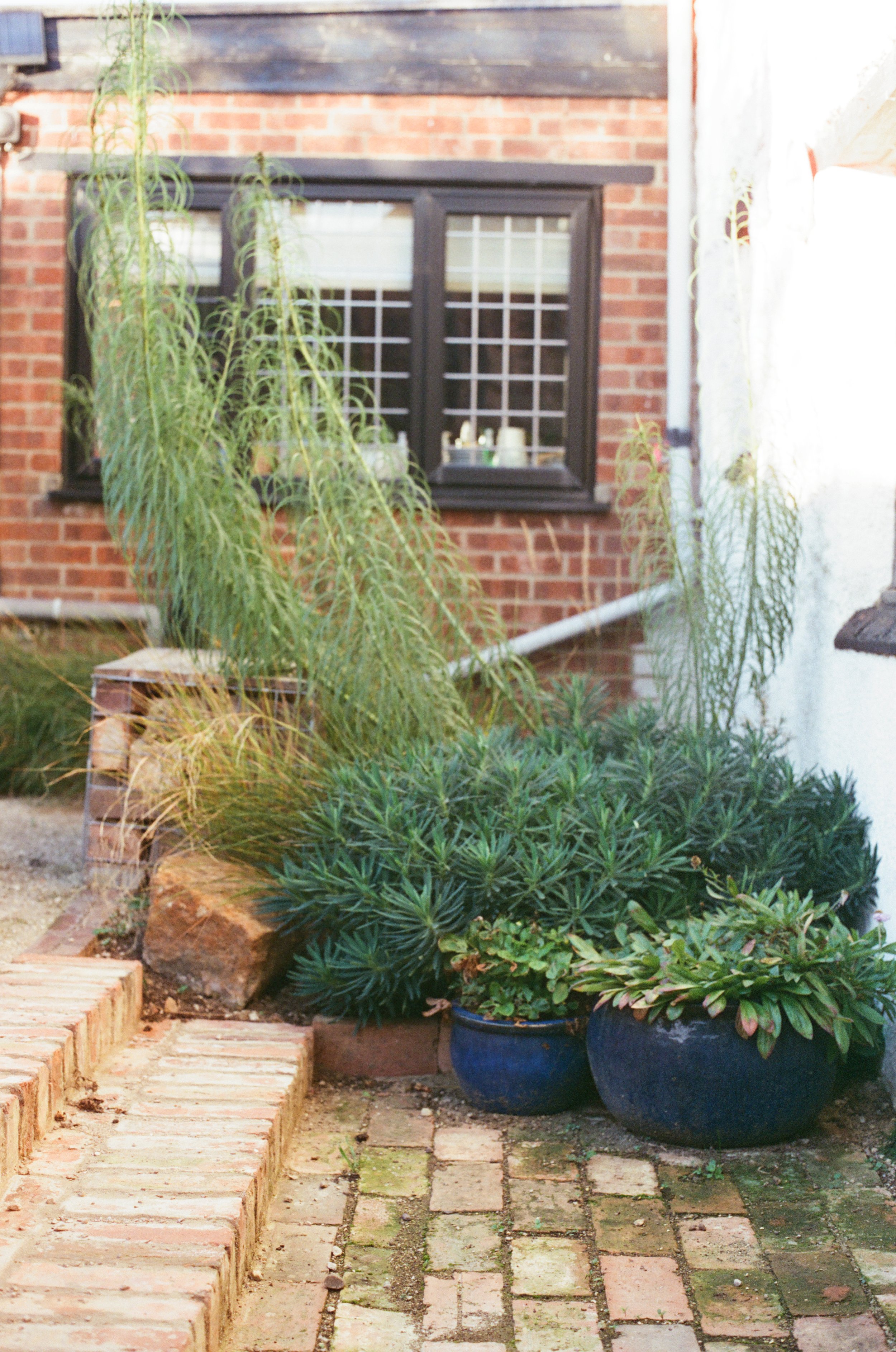 Reclaimed Brick Path 