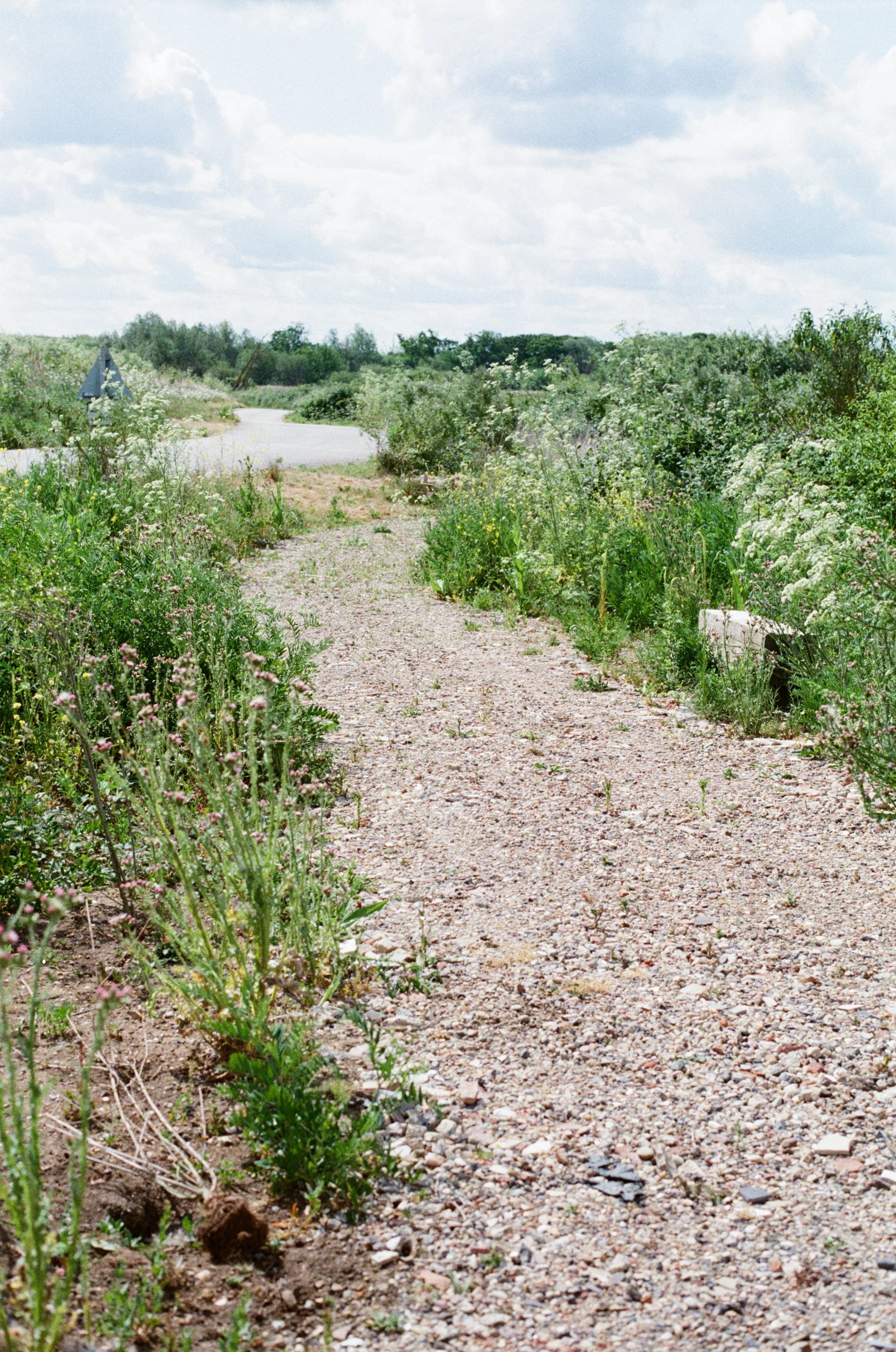 Recycled Aggregate Path