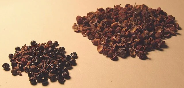 Identifriday star plant 16th January – Zanthoxylum simulans