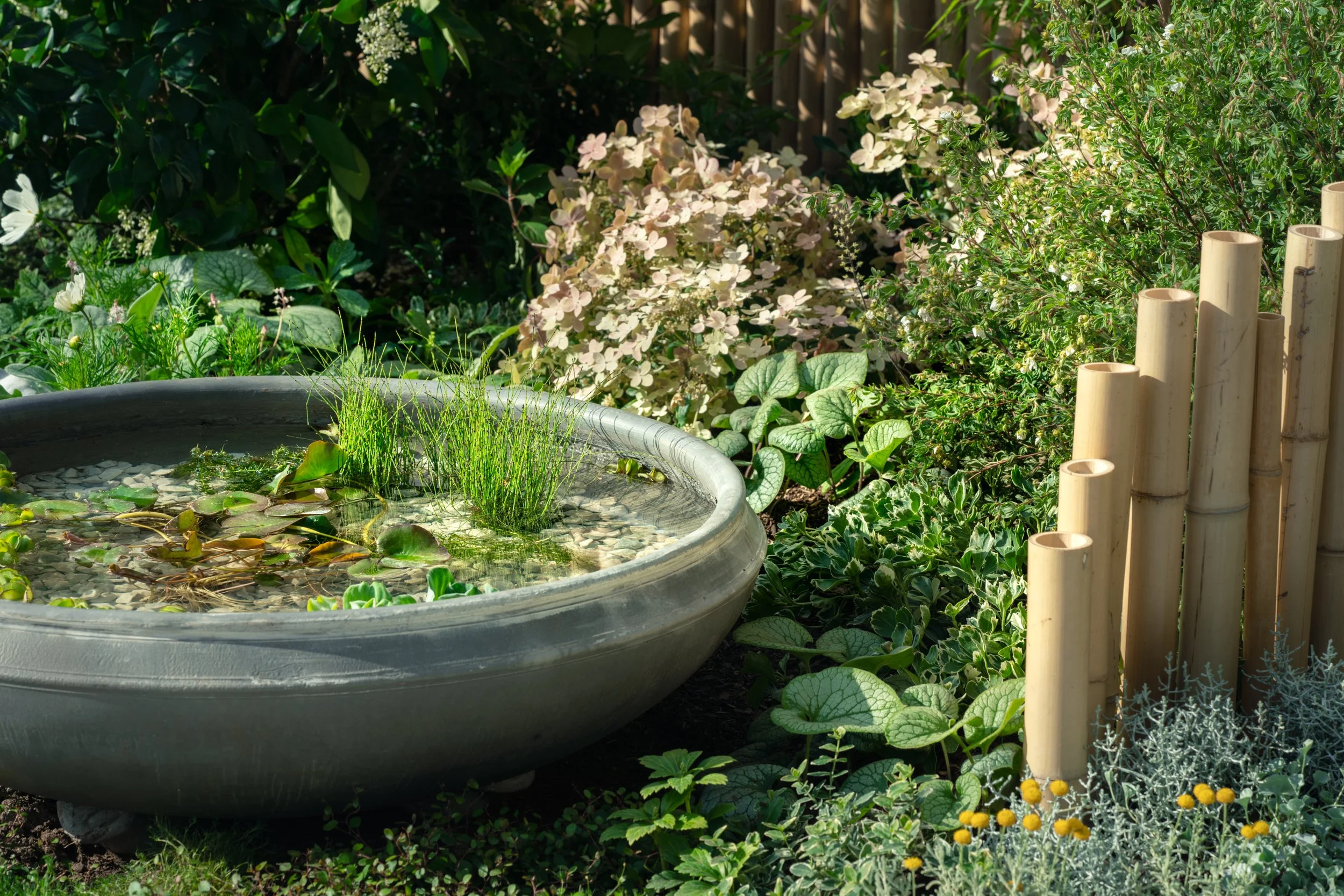 0 the_lunar_garden-55.jpg