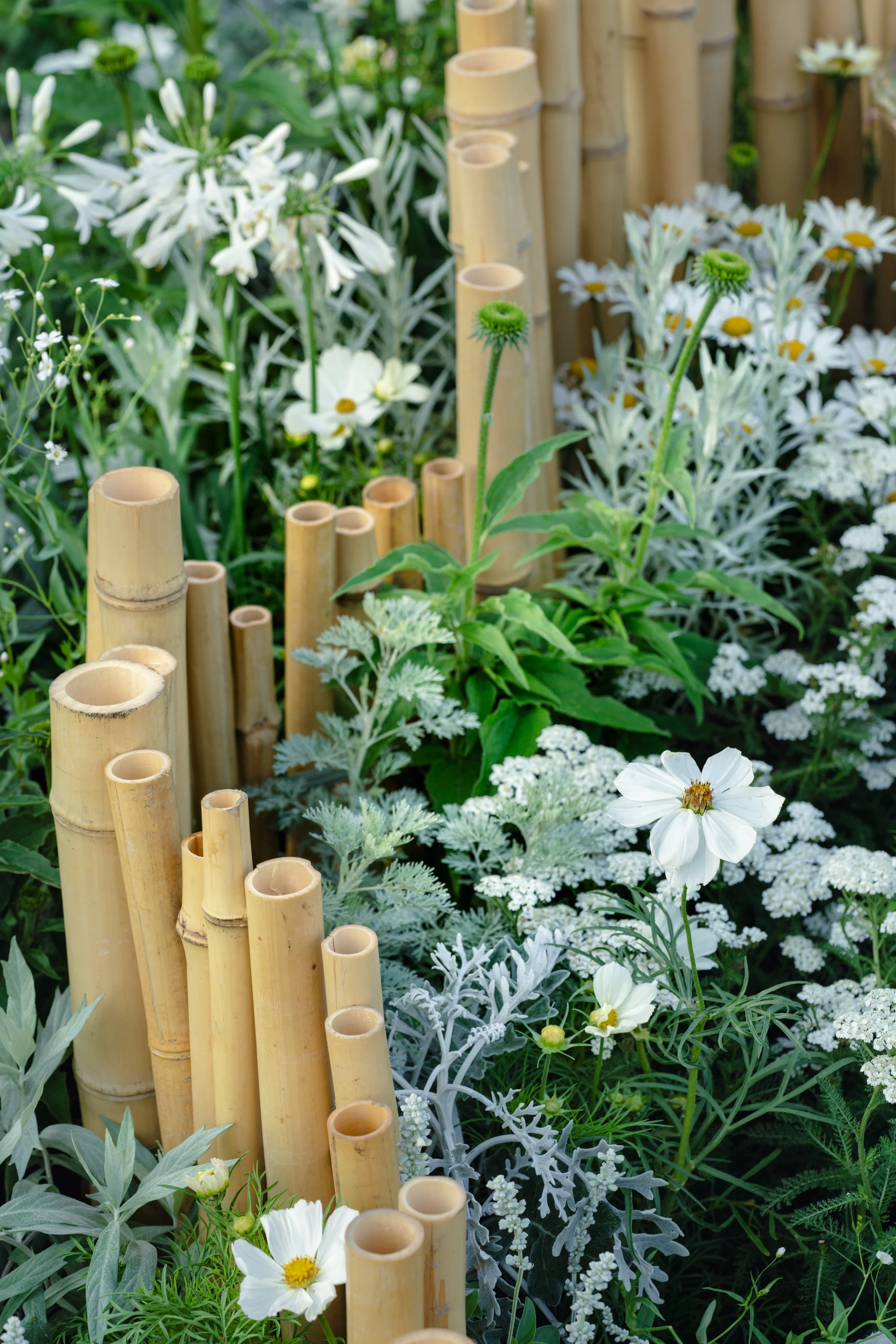 0 the_lunar_garden-125.jpg