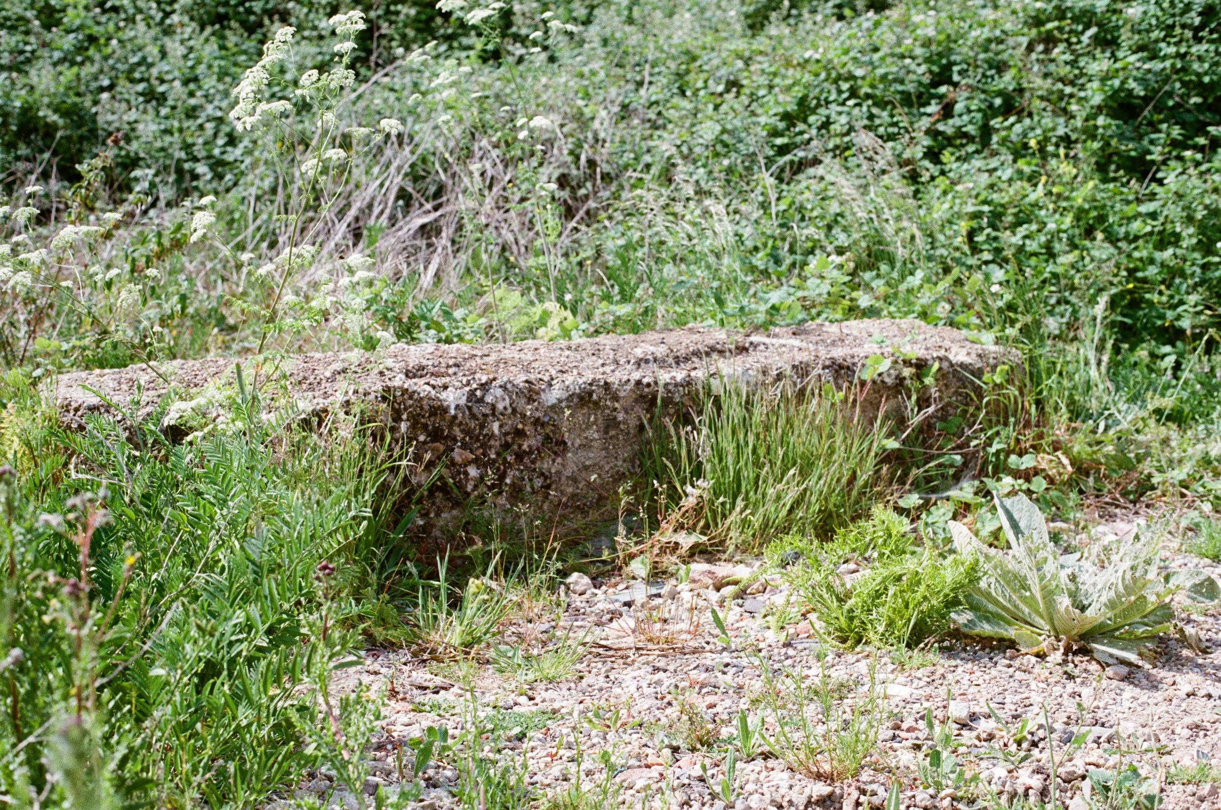 Golden Gates, Thameside Nature Discovery Park