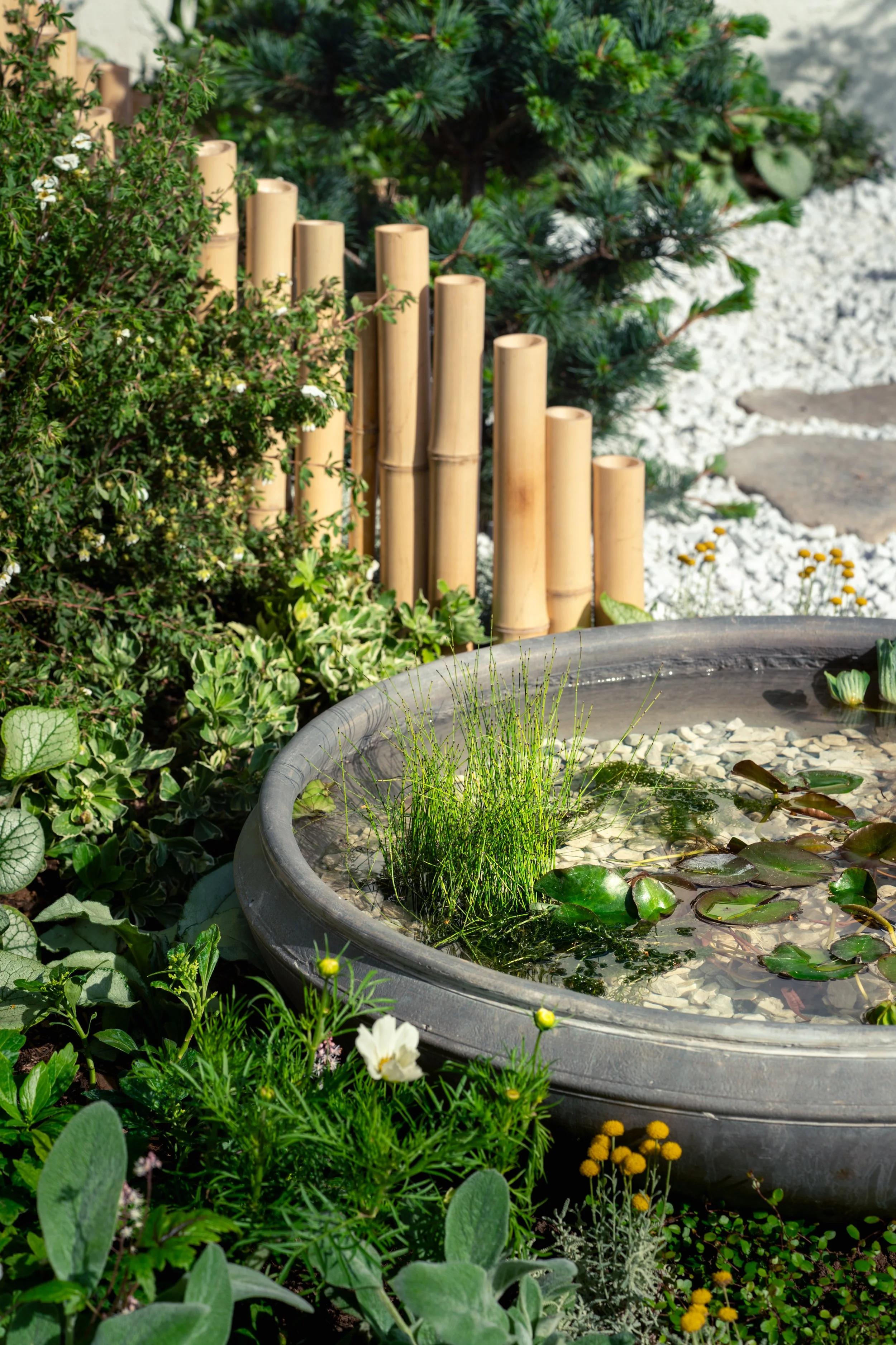 0 the_lunar_garden-33.jpg